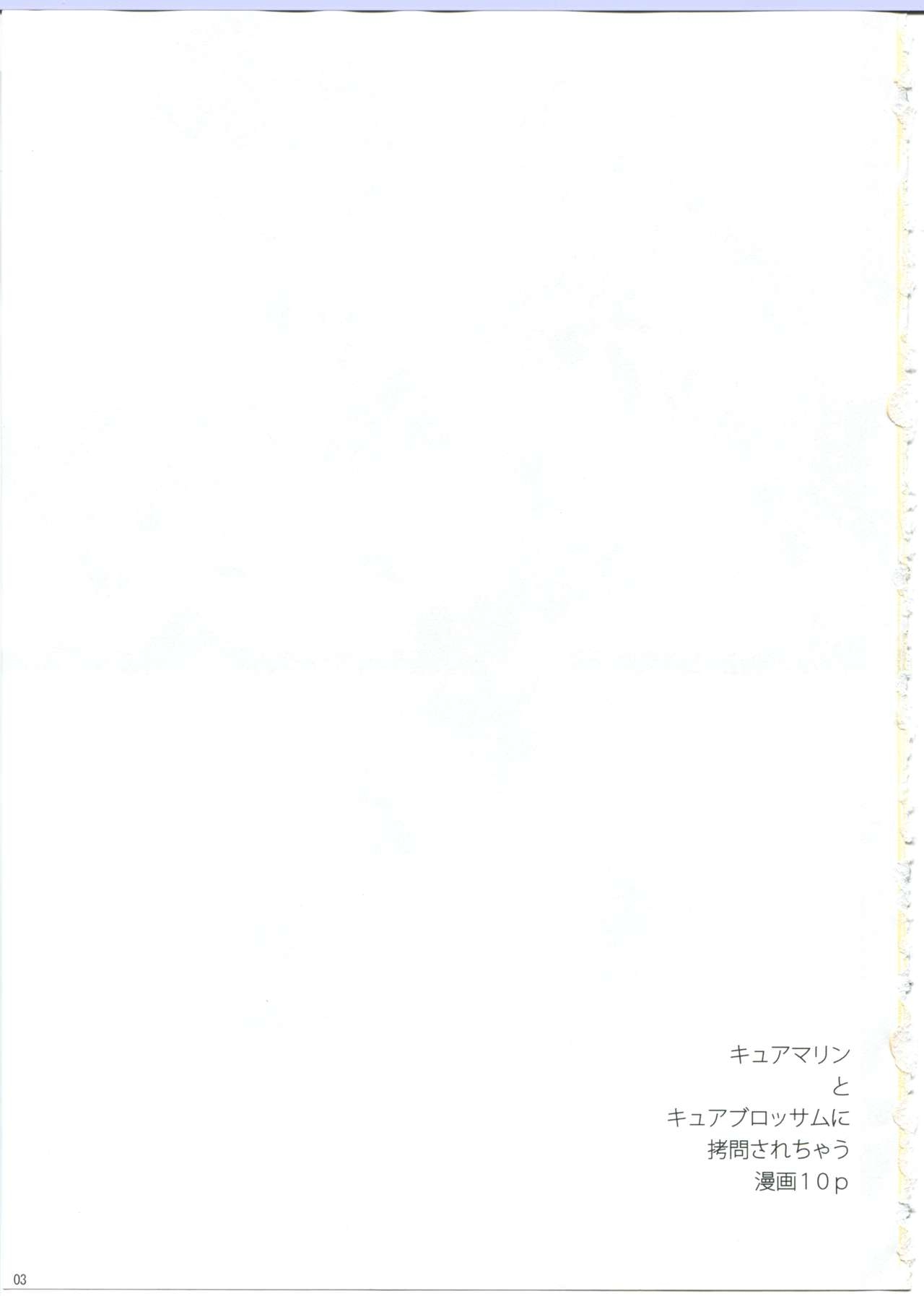 (C78) [eapo-zu (Mame)] Keritsubo (Heartcatch Precure!) [Korean] 3