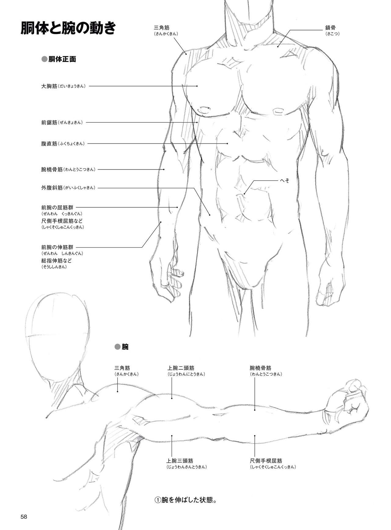 Dynamic Dessin Lesson Book - Quick Drawing with movement 59