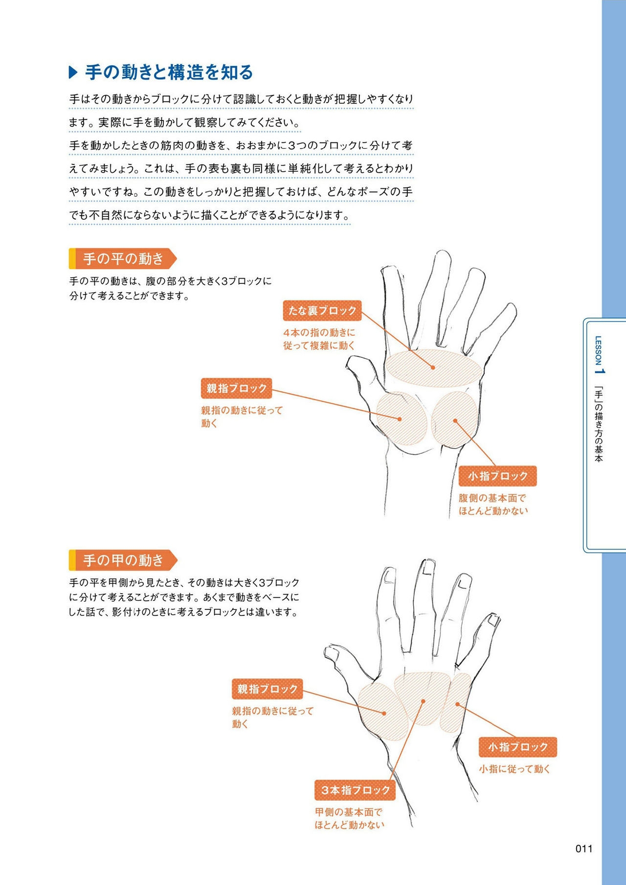 How to draw hands 11