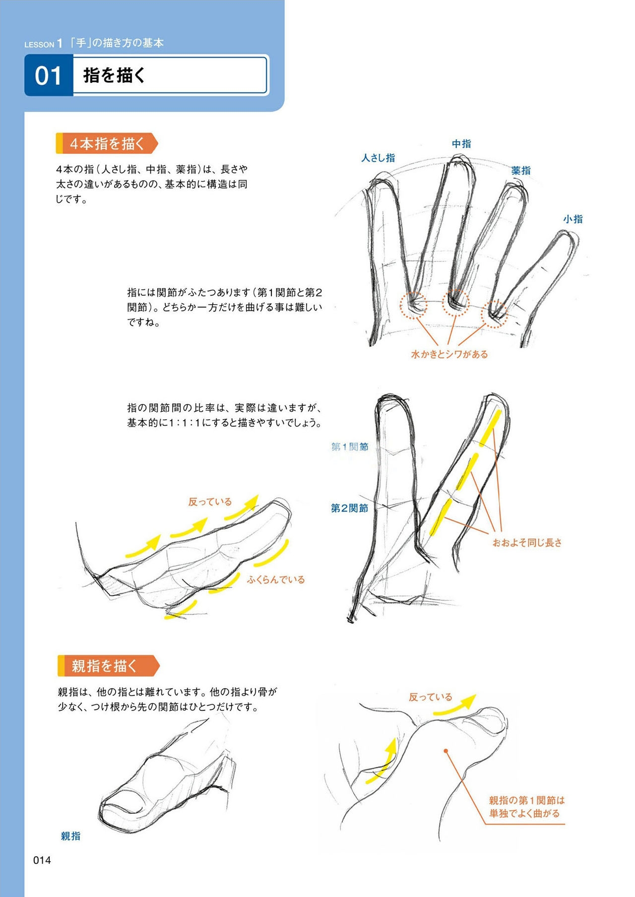 How to draw hands 14