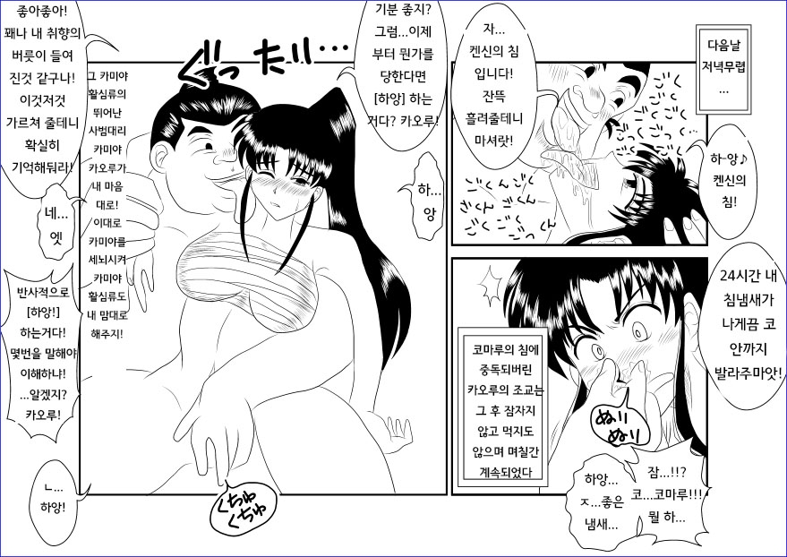 [Alice.Blood] Sennou Kyouikushitsu ~Kamiya Kaoru Hen~ | 세뇌교육실 ~카미야 카오루 편~ (Rurouni Kenshin) [Korean] 14