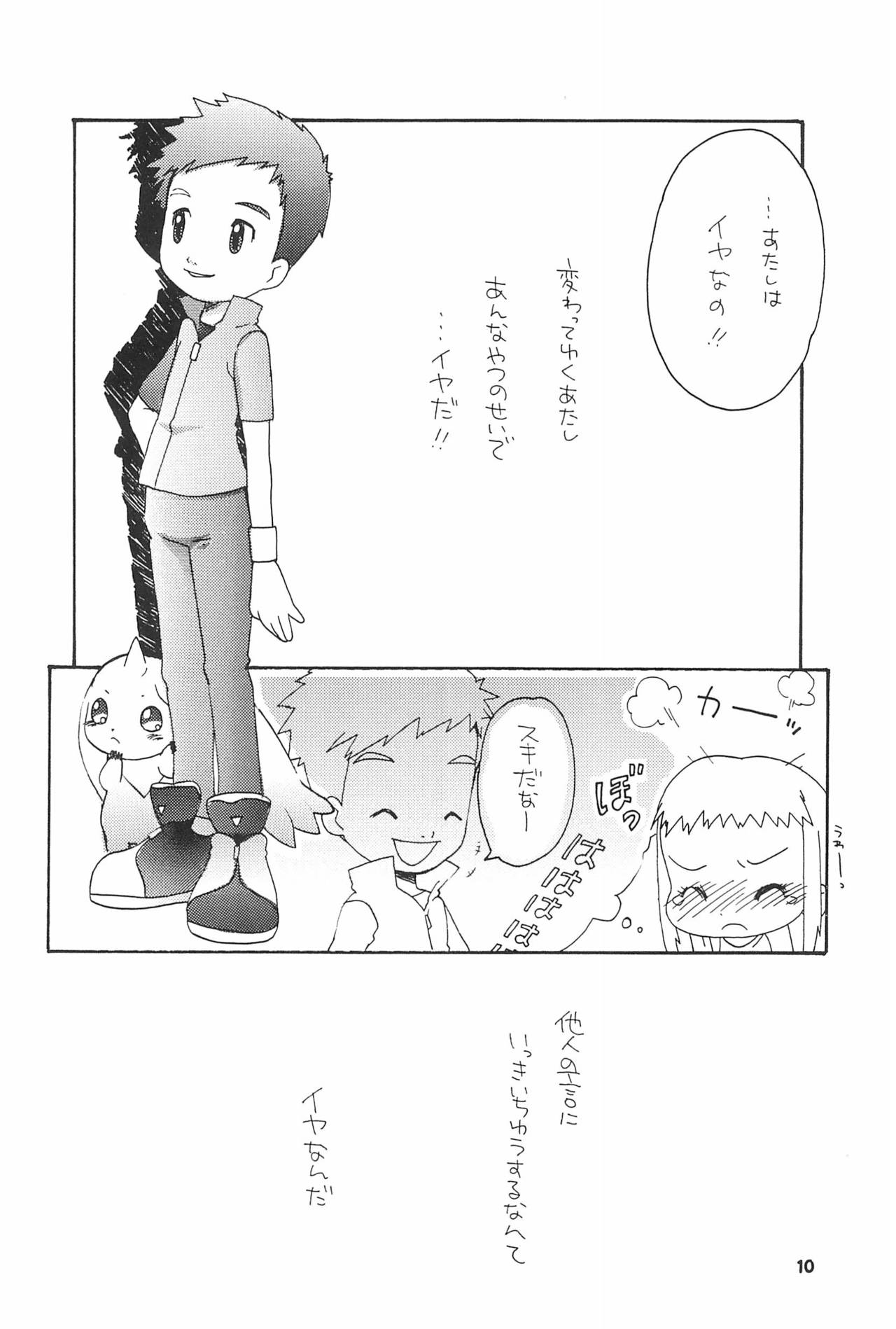 (SC15) [LeeRuki Anthology Jikkou Iinkai (Various)] LeeRuki Anthology J&R REPORT (Digimon Tamers) 11