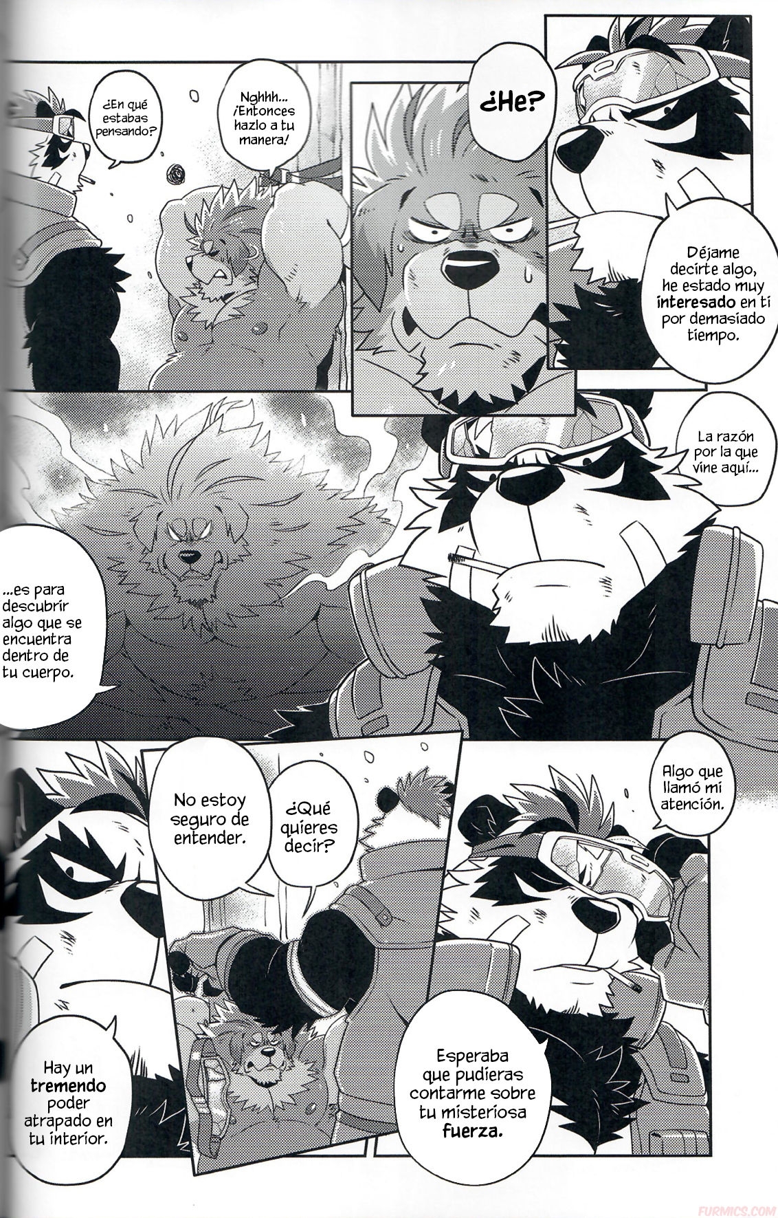 (FF34) [WILD STYLE (Takemoto Arashi)] FILE:EX Border Dog [Spanish] [Furmics] 12