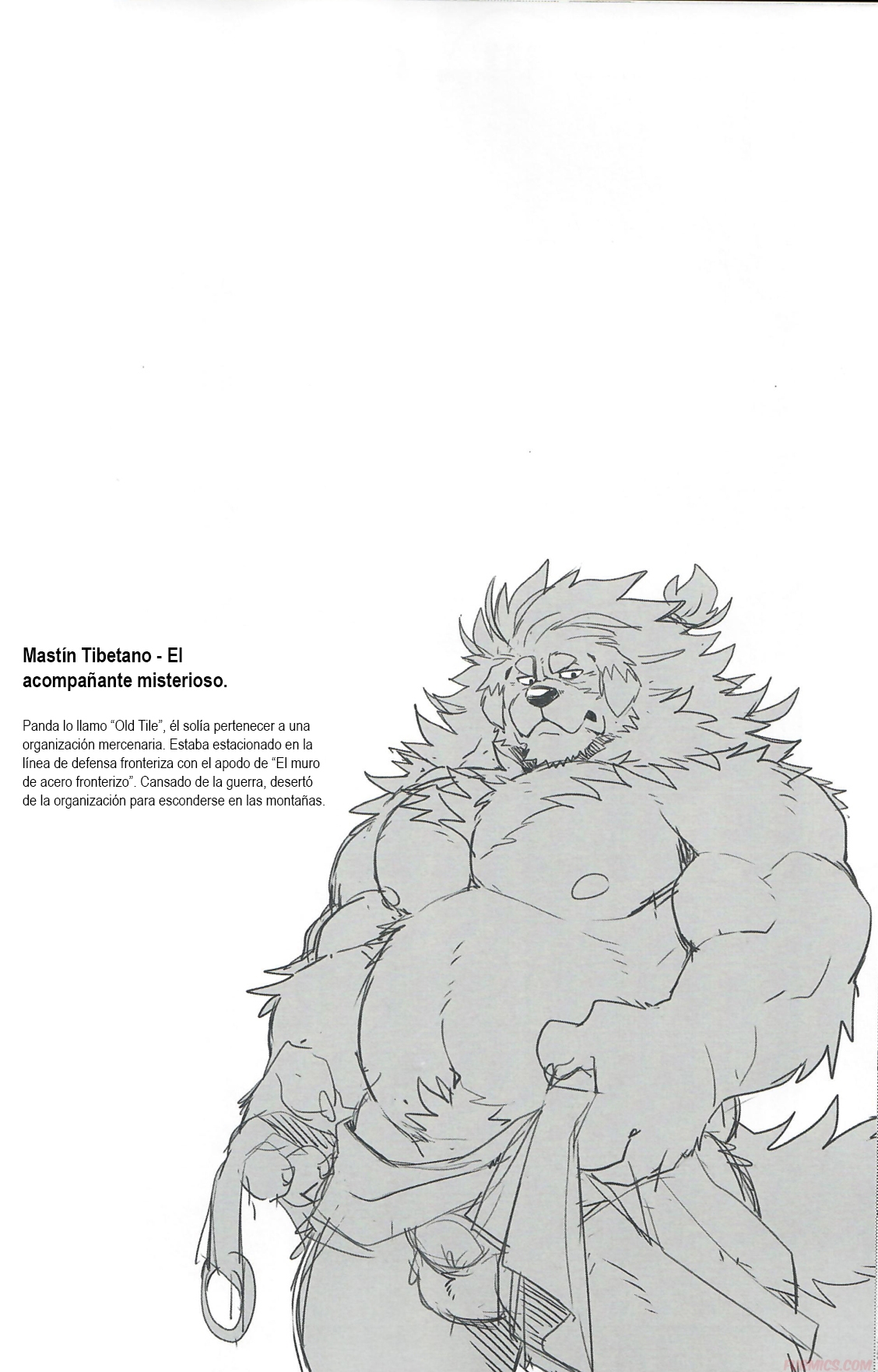 (FF34) [WILD STYLE (Takemoto Arashi)] FILE:EX Border Dog [Spanish] [Furmics] 30