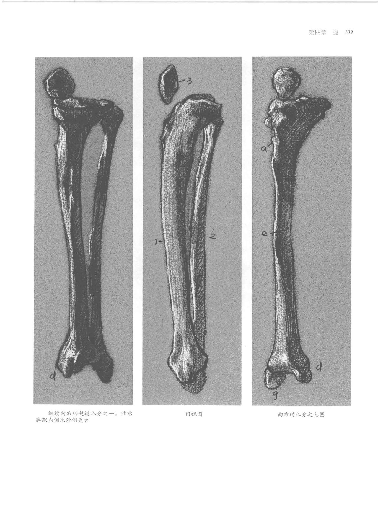 Anatomy-A Complete Guide for Artists - Joseph Sheppard [Chinese] 109