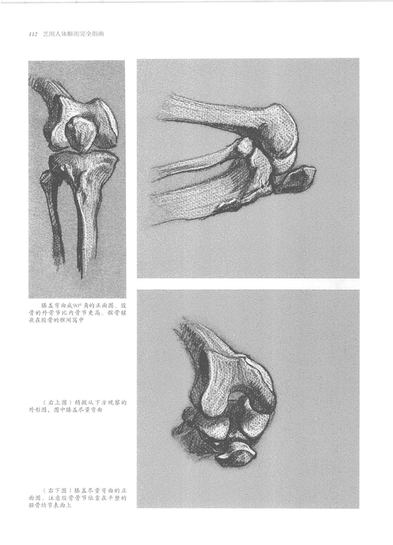 Anatomy-A Complete Guide for Artists - Joseph Sheppard [Chinese] 112