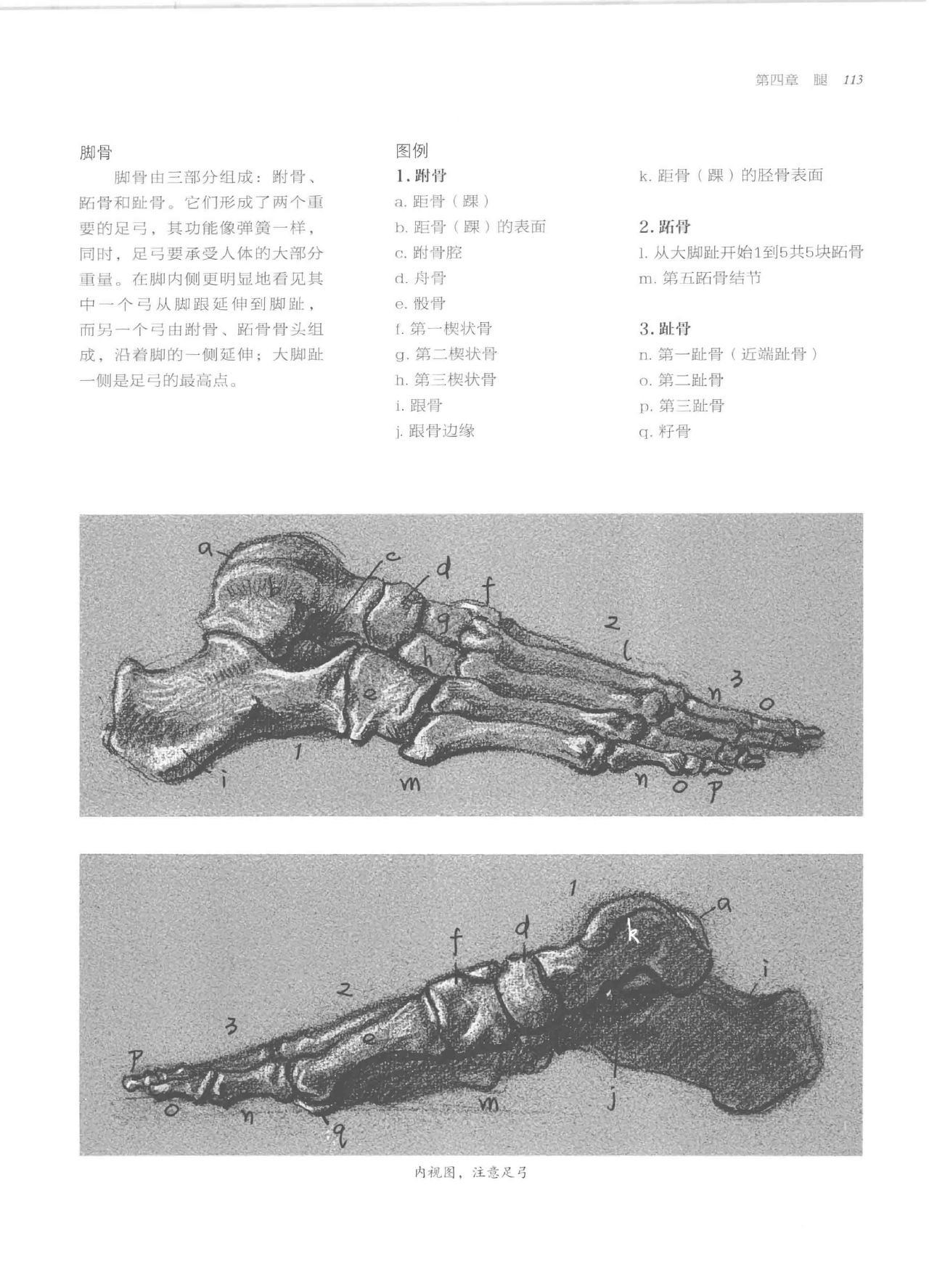 Anatomy-A Complete Guide for Artists - Joseph Sheppard [Chinese] 113