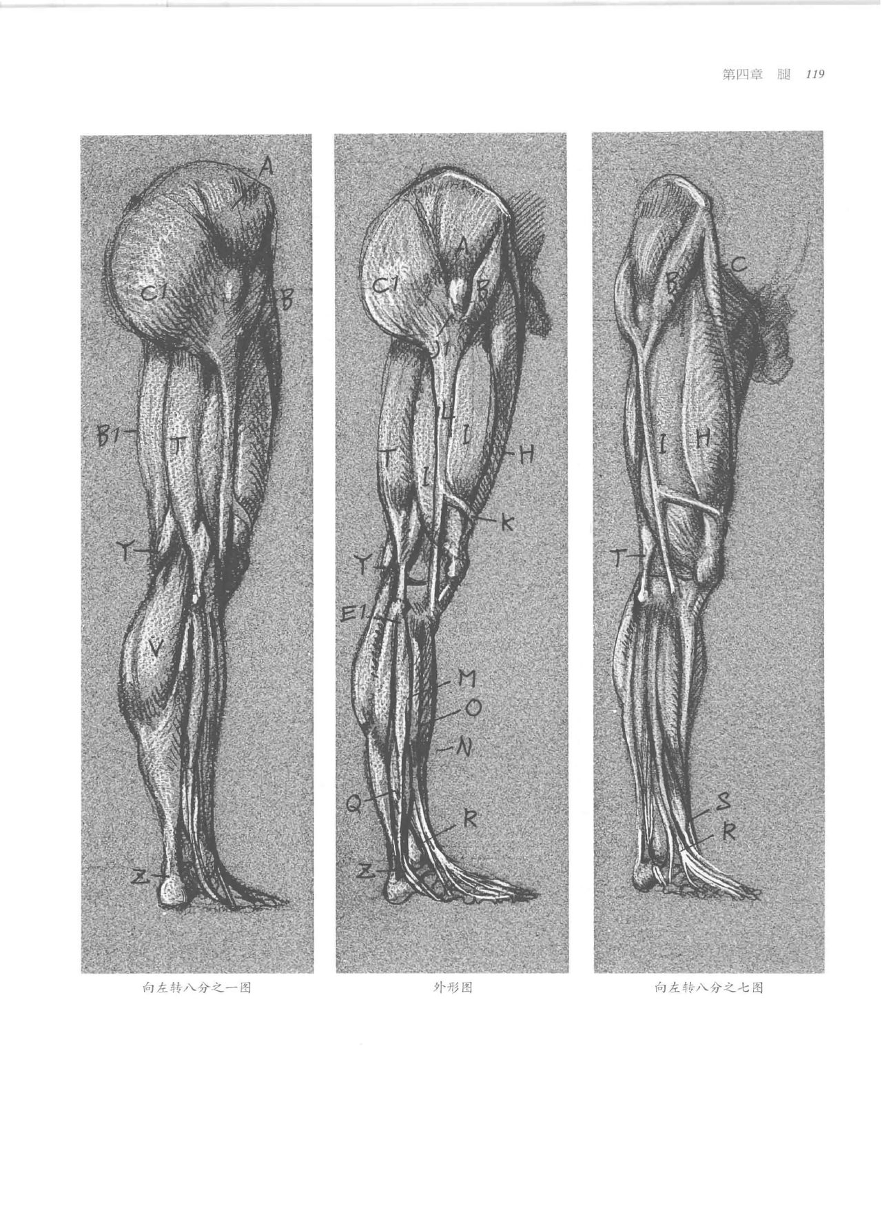 Anatomy-A Complete Guide for Artists - Joseph Sheppard [Chinese] 119