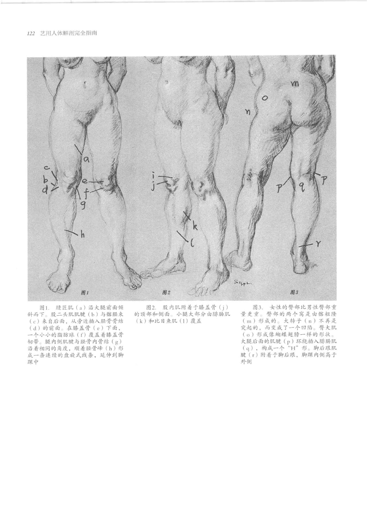 Anatomy-A Complete Guide for Artists - Joseph Sheppard [Chinese] 122