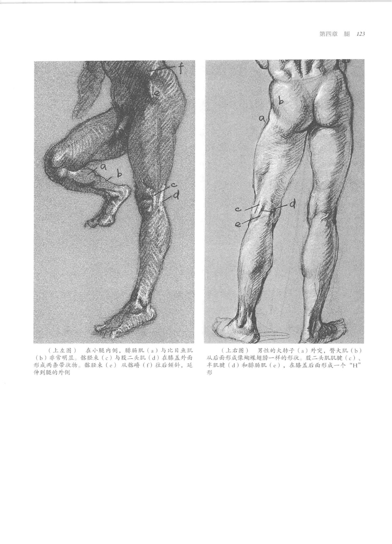 Anatomy-A Complete Guide for Artists - Joseph Sheppard [Chinese] 123