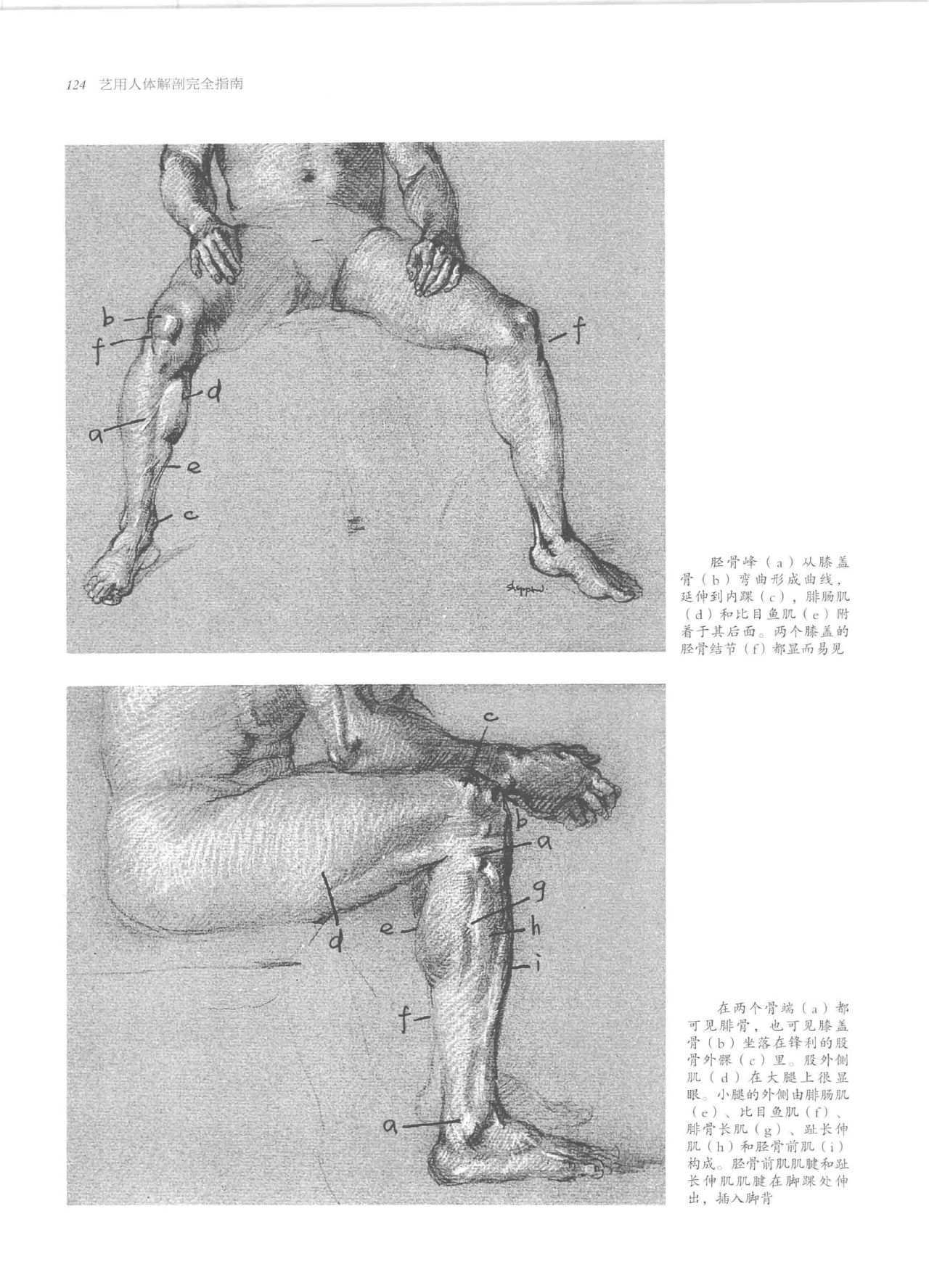 Anatomy-A Complete Guide for Artists - Joseph Sheppard [Chinese] 124
