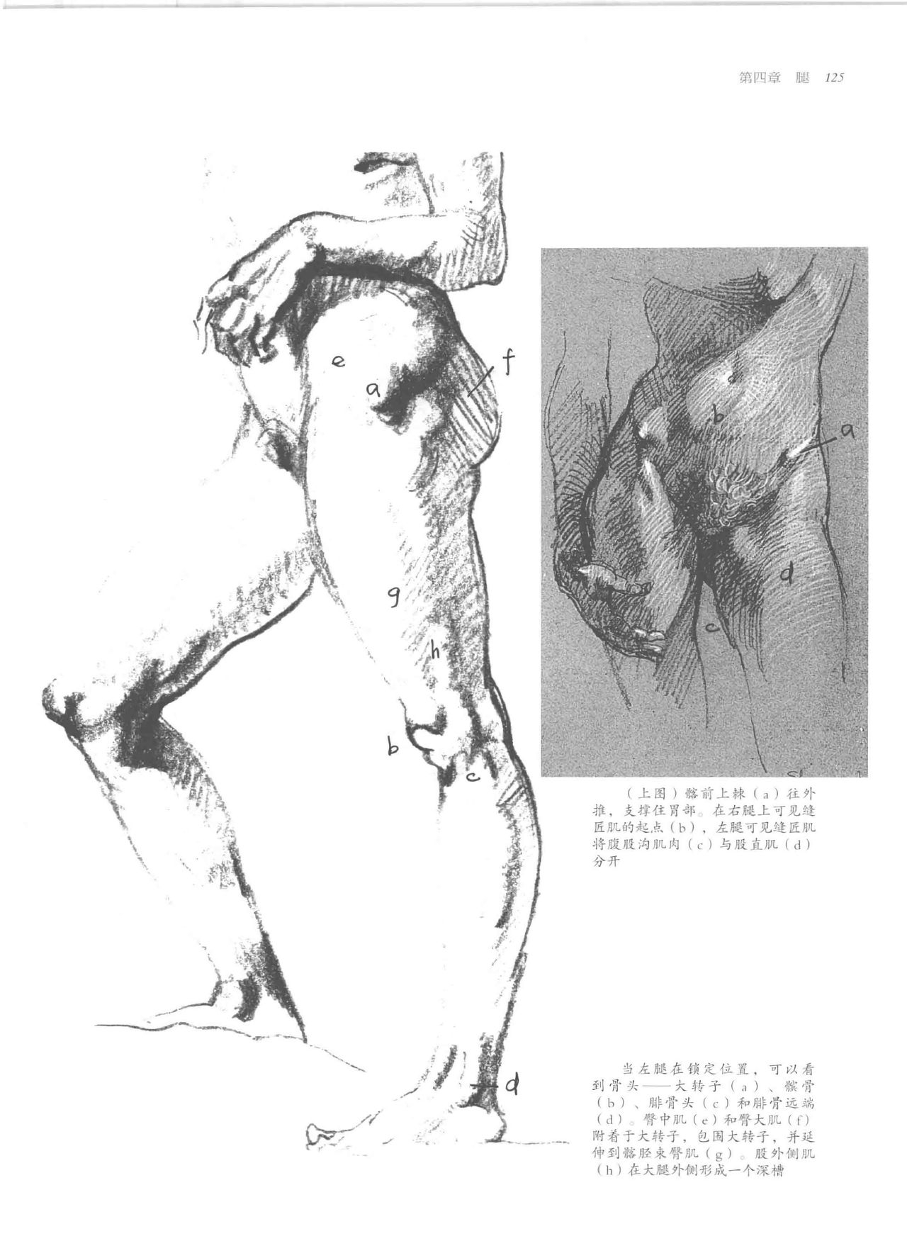 Anatomy-A Complete Guide for Artists - Joseph Sheppard [Chinese] 125