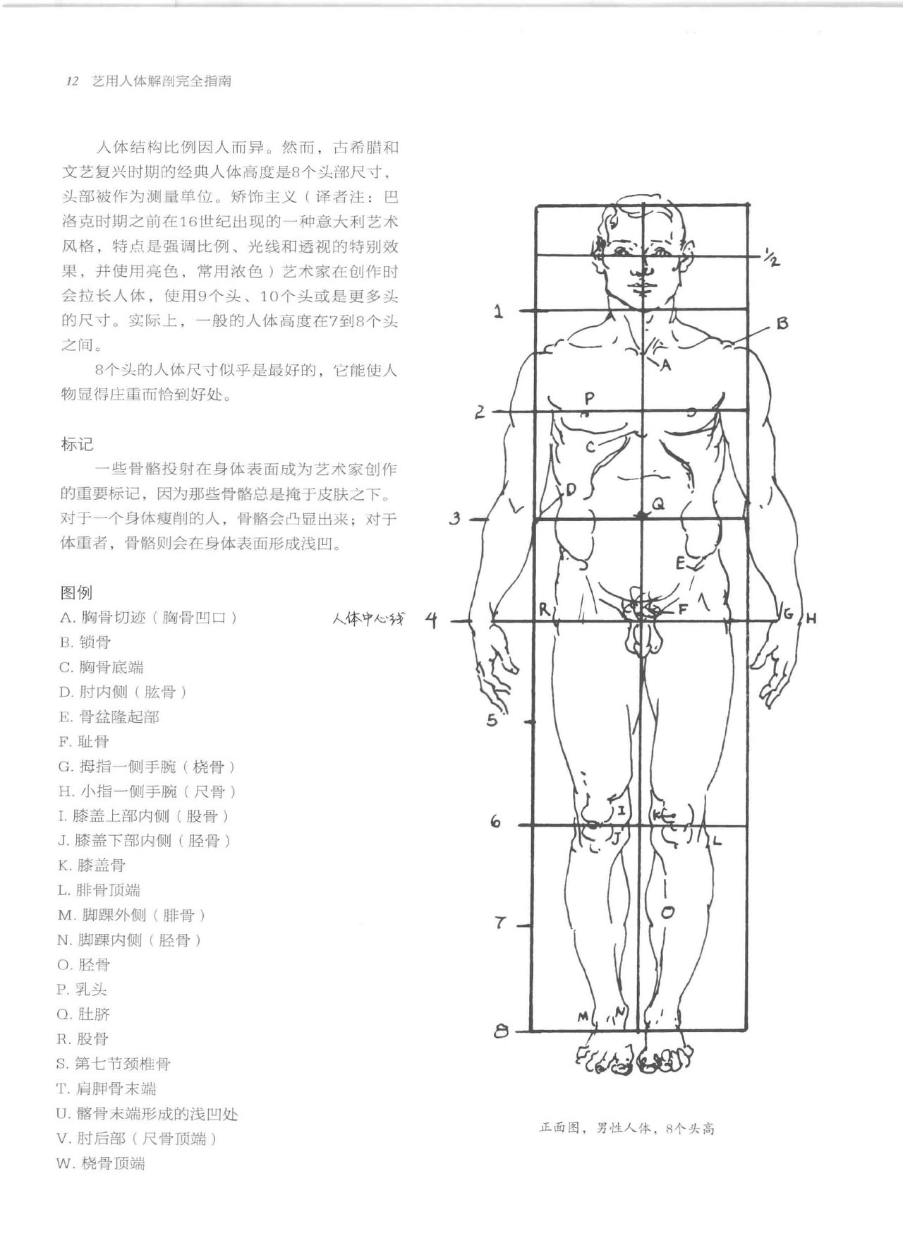Anatomy-A Complete Guide for Artists - Joseph Sheppard [Chinese] 12