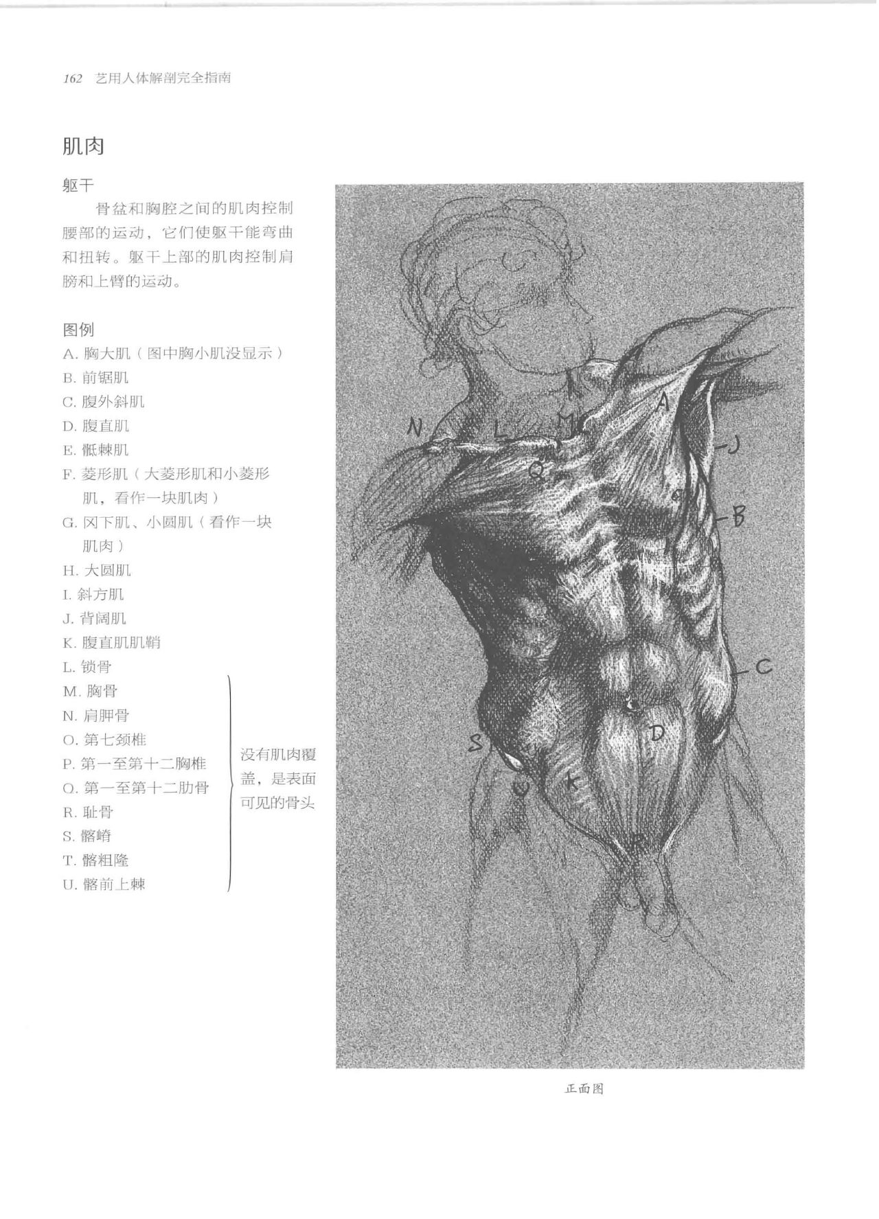 Anatomy-A Complete Guide for Artists - Joseph Sheppard [Chinese] 162