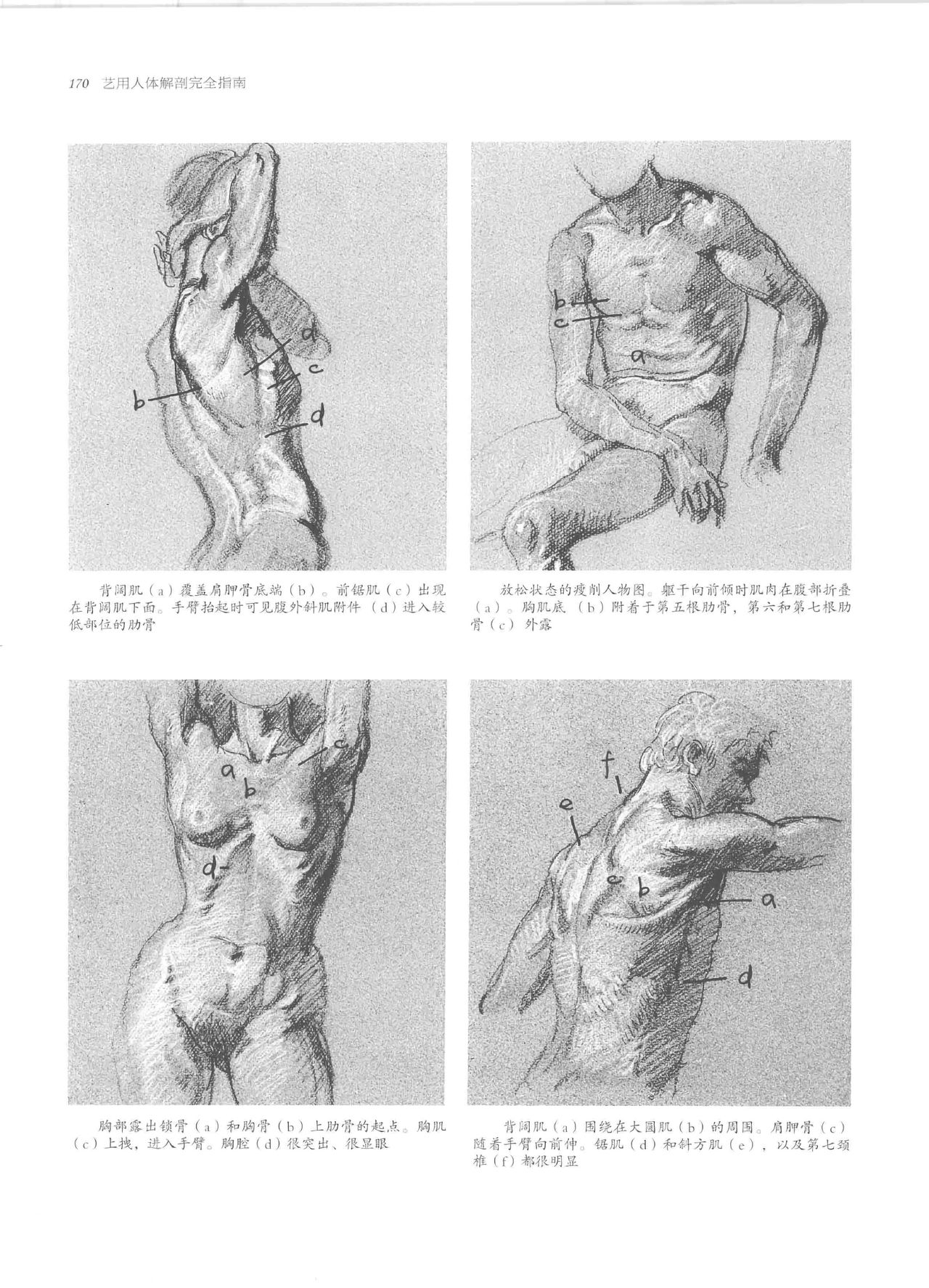 Anatomy-A Complete Guide for Artists - Joseph Sheppard [Chinese] 170