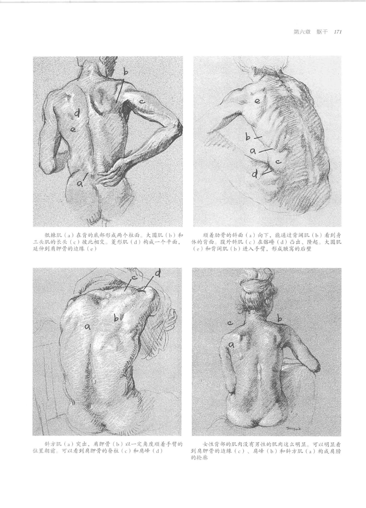 Anatomy-A Complete Guide for Artists - Joseph Sheppard [Chinese] 171