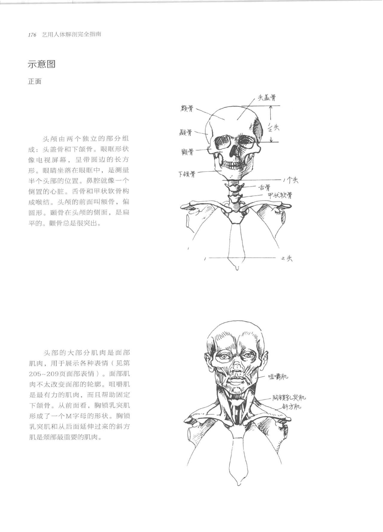 Anatomy-A Complete Guide for Artists - Joseph Sheppard [Chinese] 176