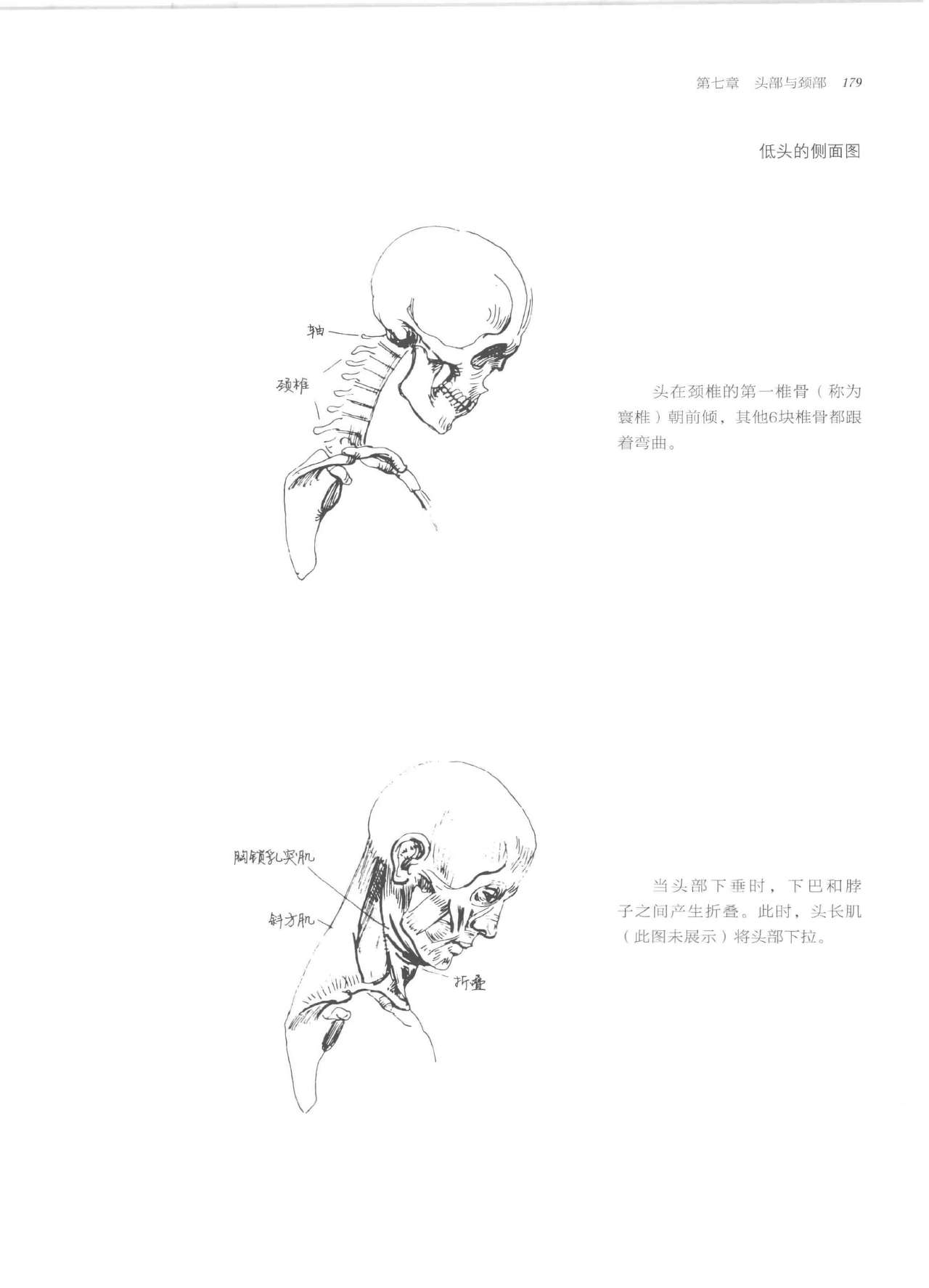 Anatomy-A Complete Guide for Artists - Joseph Sheppard [Chinese] 179