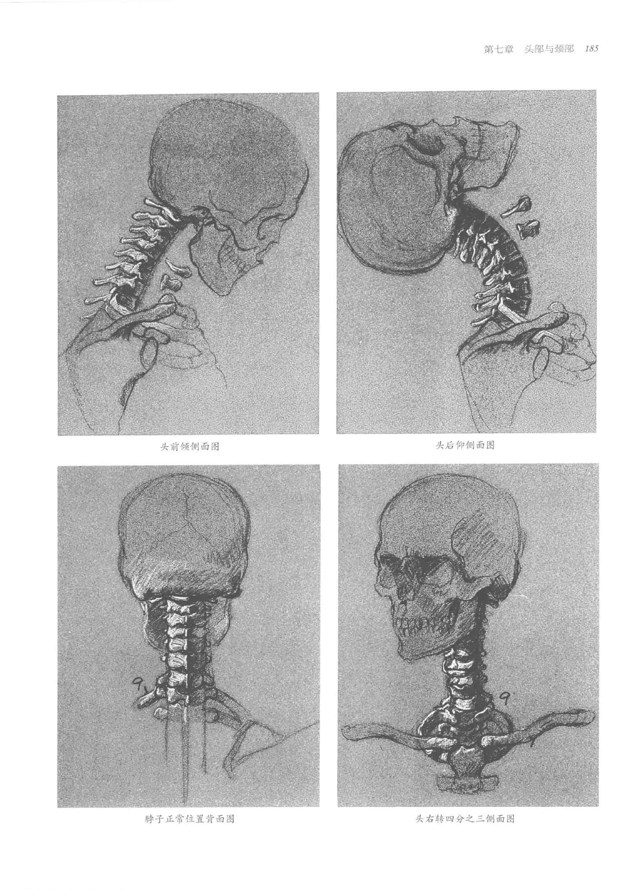 Anatomy-A Complete Guide for Artists - Joseph Sheppard [Chinese] 185