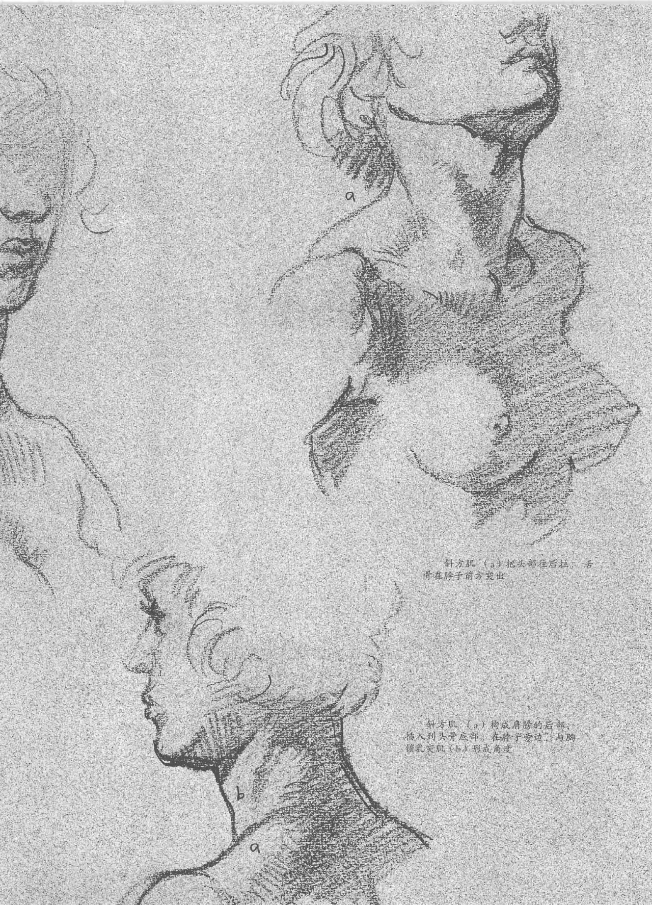 Anatomy-A Complete Guide for Artists - Joseph Sheppard [Chinese] 191
