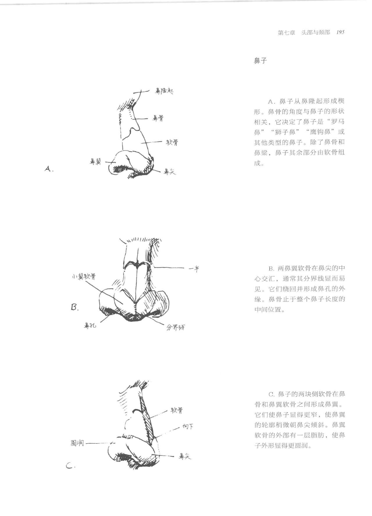 Anatomy-A Complete Guide for Artists - Joseph Sheppard [Chinese] 195