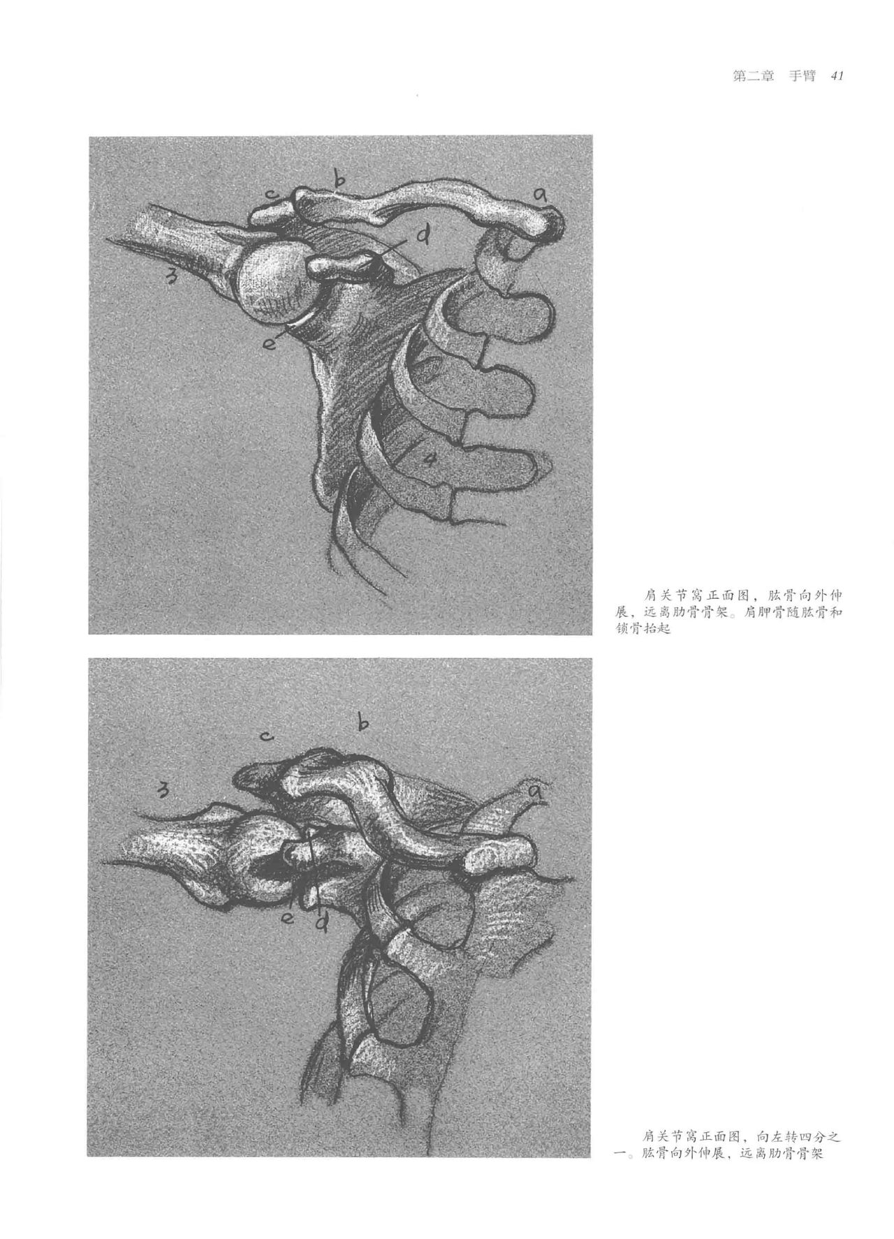 Anatomy-A Complete Guide for Artists - Joseph Sheppard [Chinese] 41