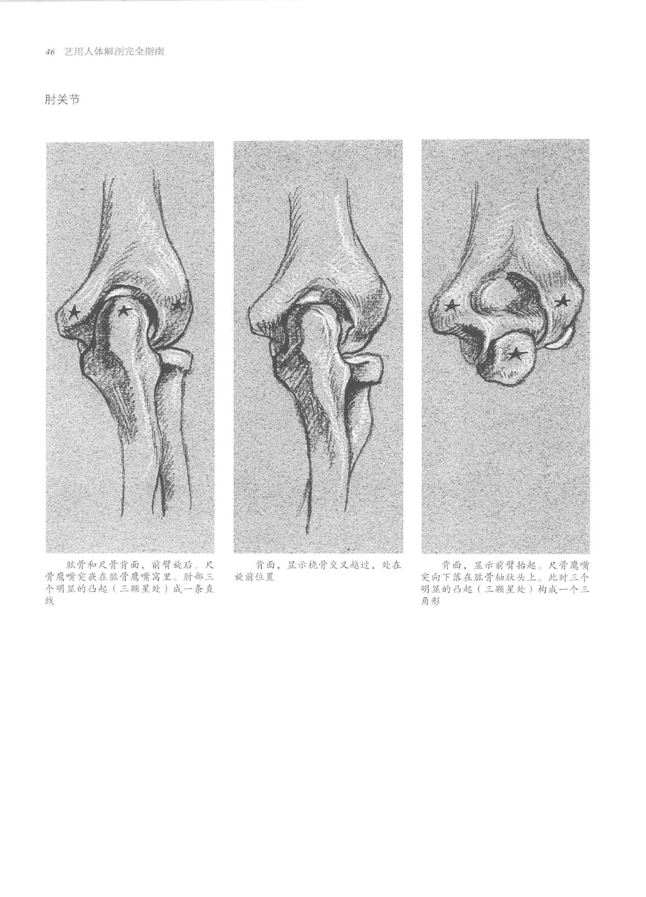 Anatomy-A Complete Guide for Artists - Joseph Sheppard [Chinese] 46