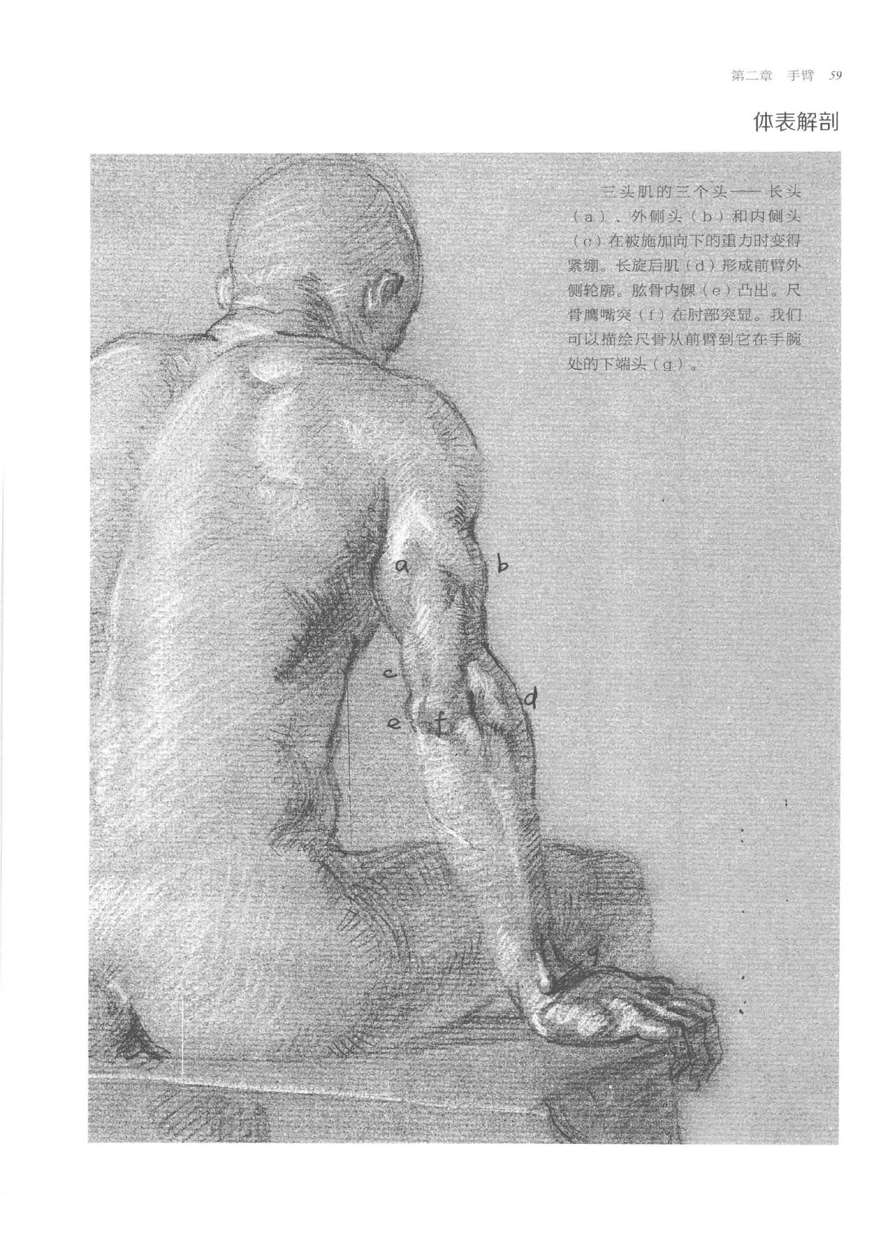 Anatomy-A Complete Guide for Artists - Joseph Sheppard [Chinese] 59