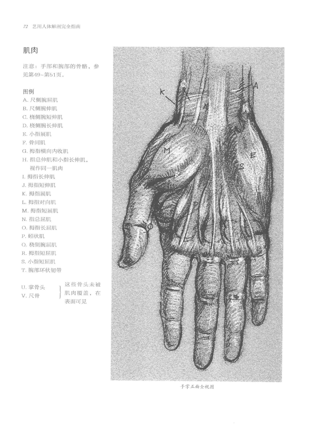 Anatomy-A Complete Guide for Artists - Joseph Sheppard [Chinese] 72