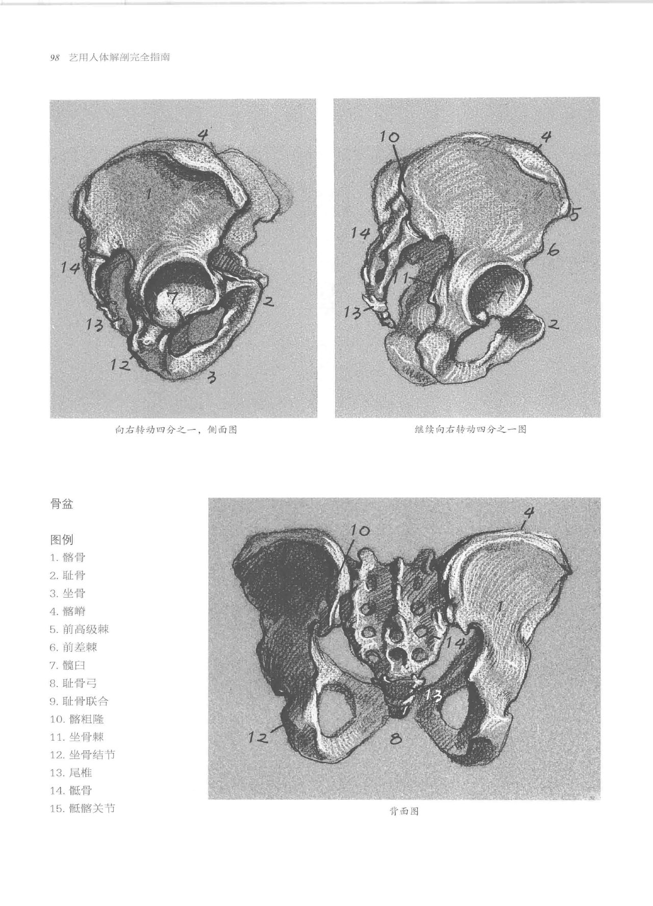 Anatomy-A Complete Guide for Artists - Joseph Sheppard [Chinese] 98