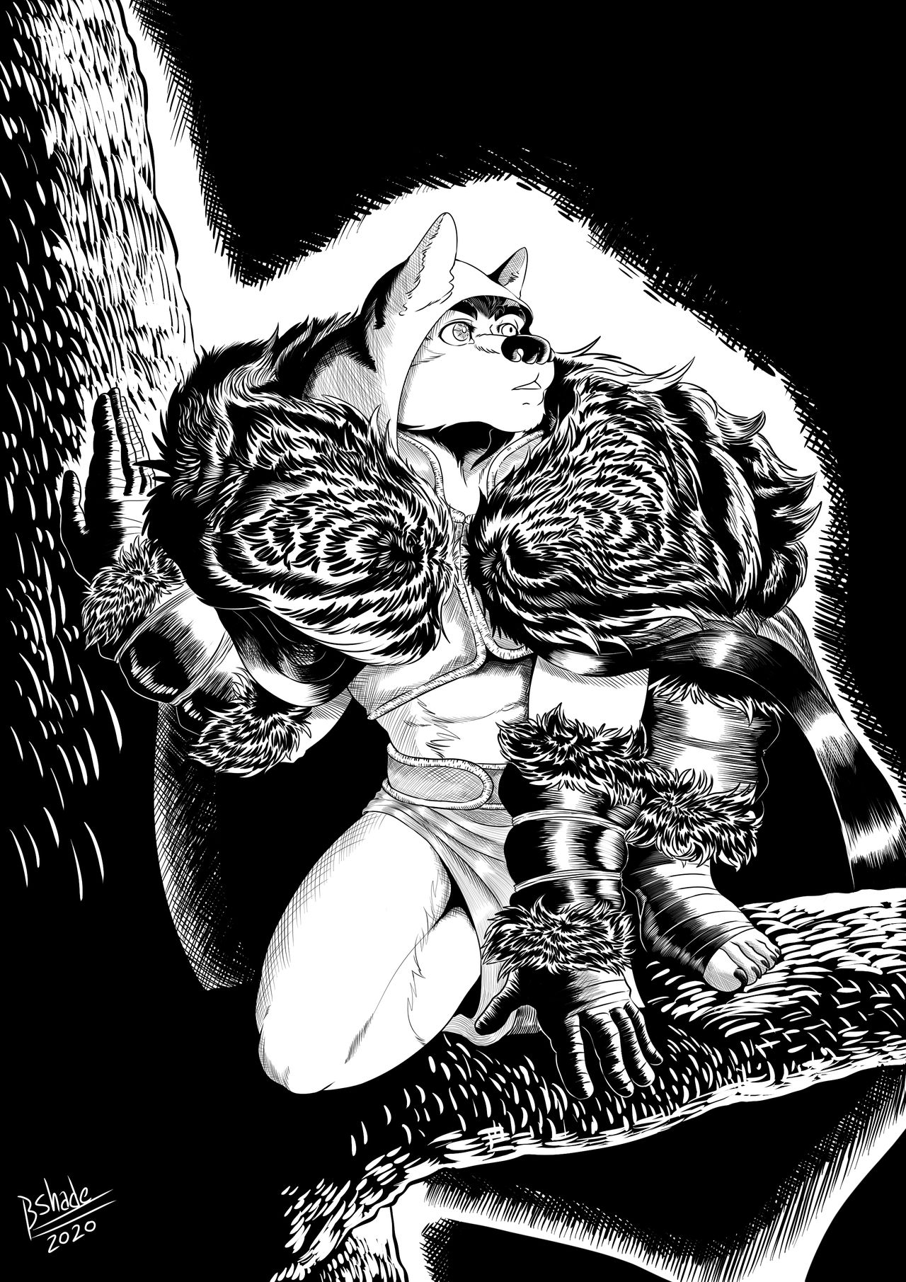 [Shade-The-Wolf] Lord of Dawn Vol.1 (Español) 1