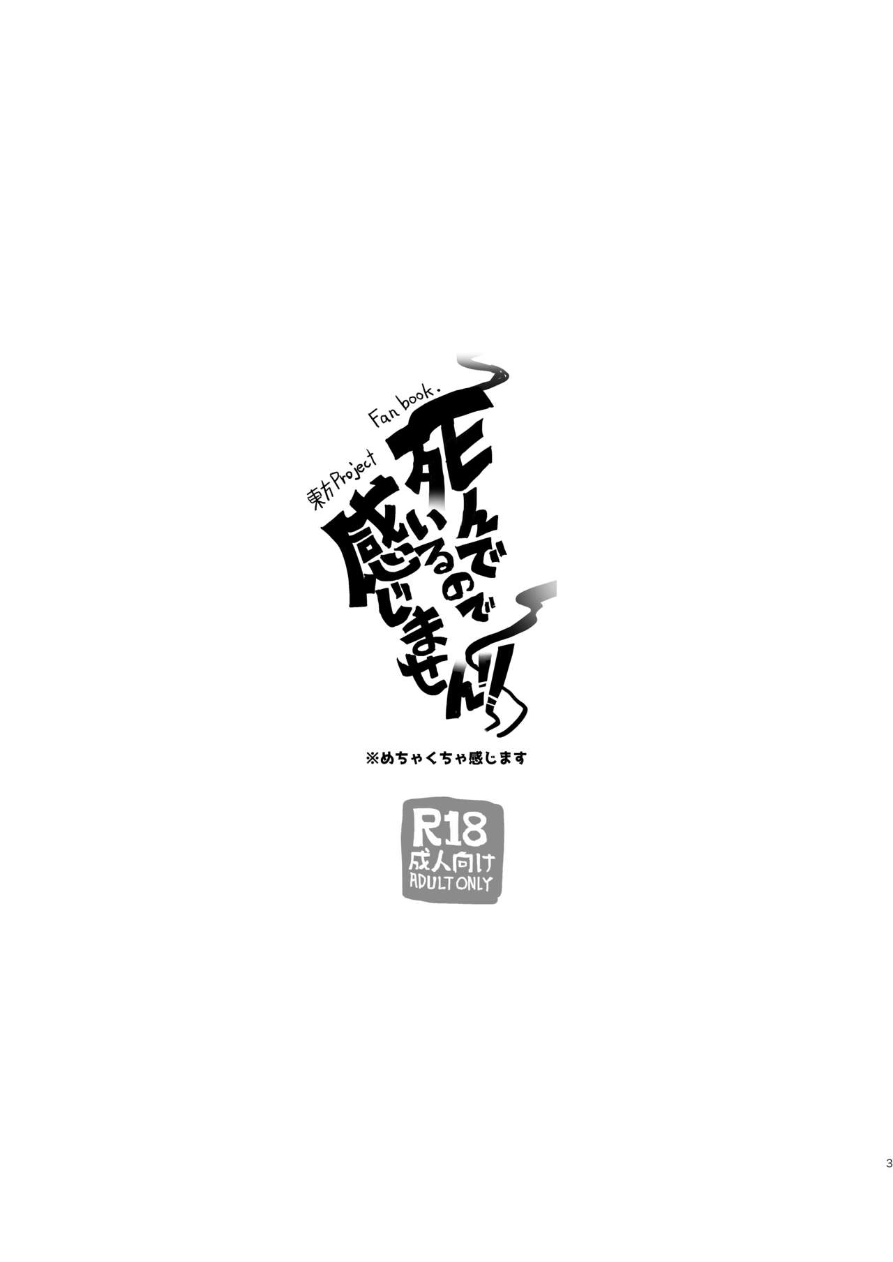 [Hakonnbu Kitamaebune (Hakonnbu)] Shindeiru node Kanjimasen!! (Touhou Project) [Digital] 1