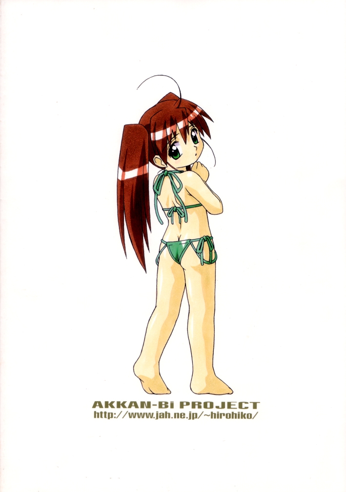 (C62) [Akkan-Bi Project (Yanagi Hirohiko)] ACTG II (Dead or Alive) 55