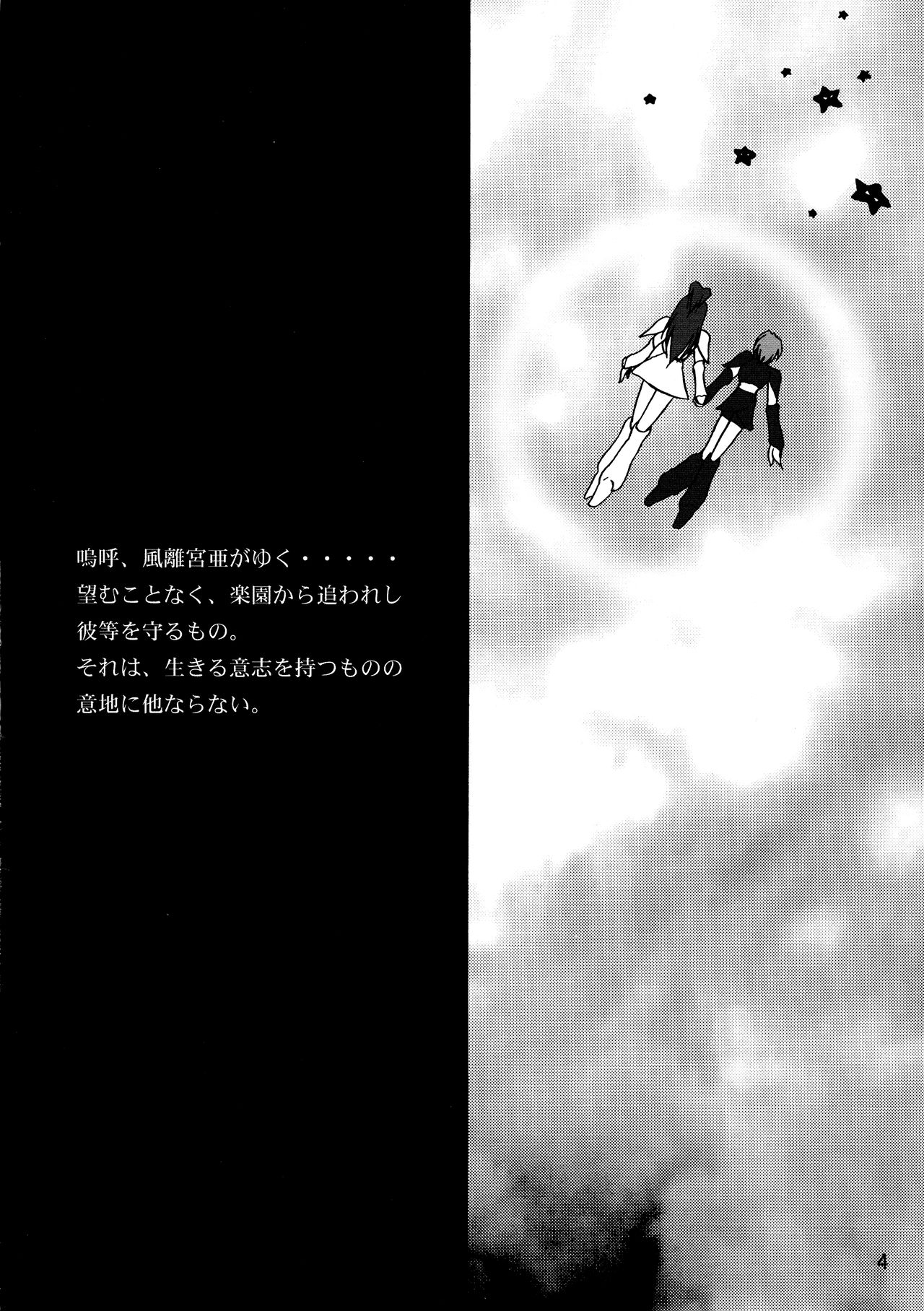 (C66) [Henachoko Domei (Yapi)] Kazariya (Futari wa Precure) 3