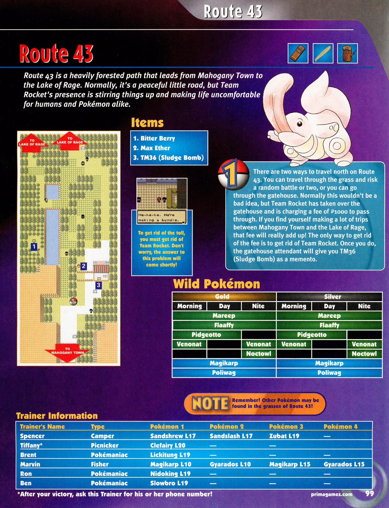 Pokémon Gold & Silver Versions - Strategy Guide 100