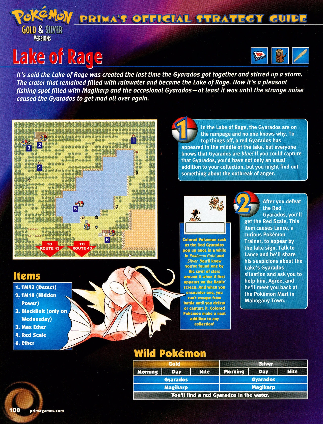 Pokémon Gold & Silver Versions - Strategy Guide 101