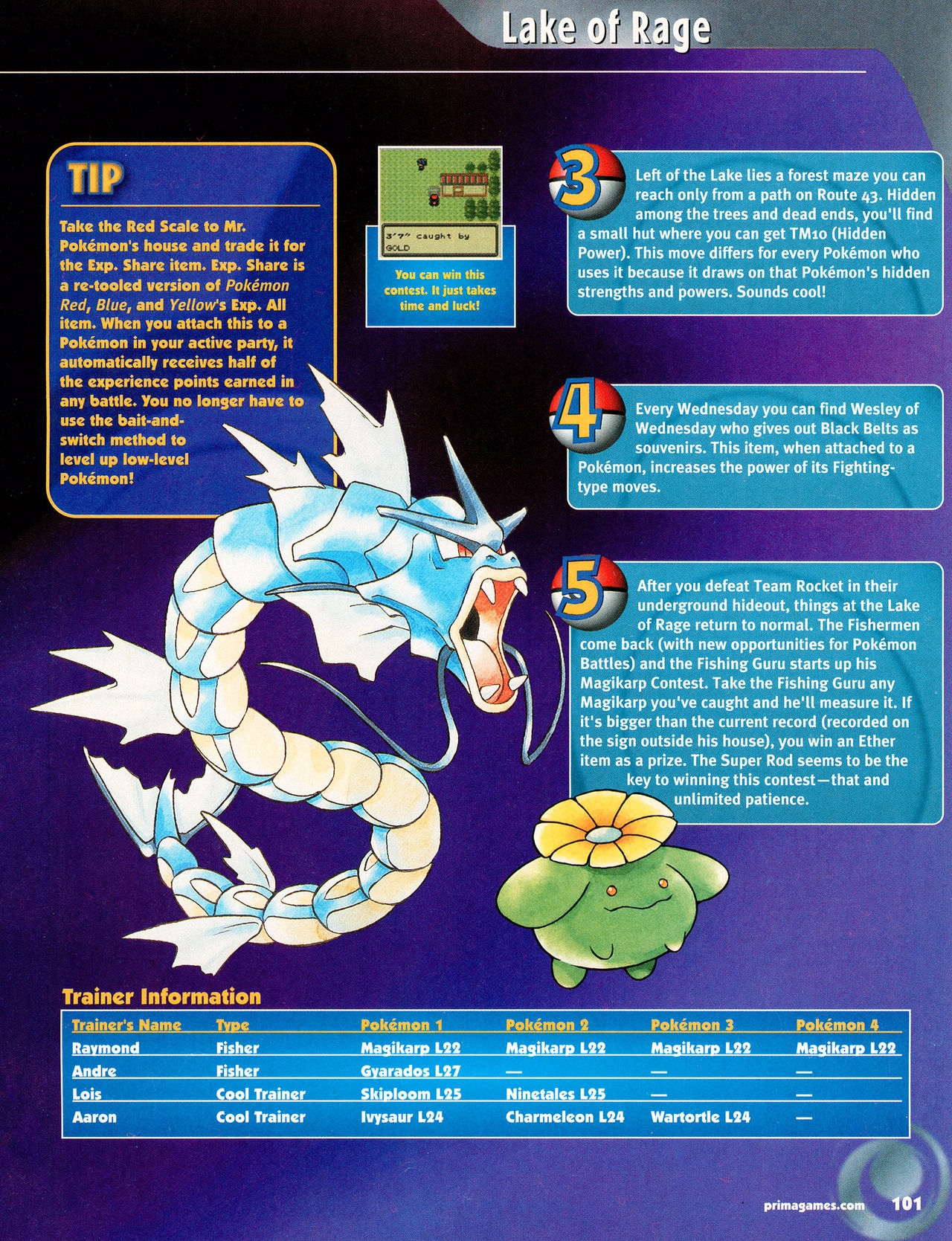Pokémon Gold & Silver Versions - Strategy Guide 102