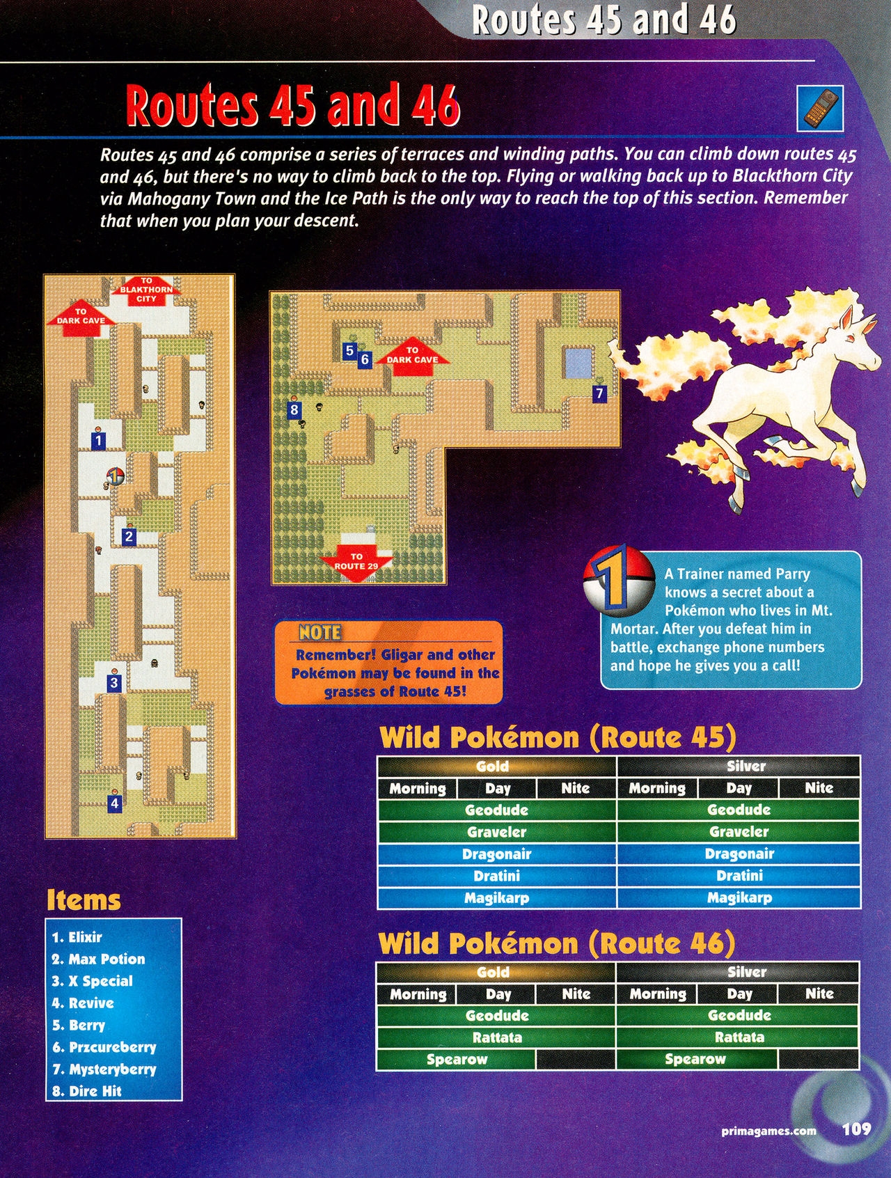Pokémon Gold & Silver Versions - Strategy Guide 110