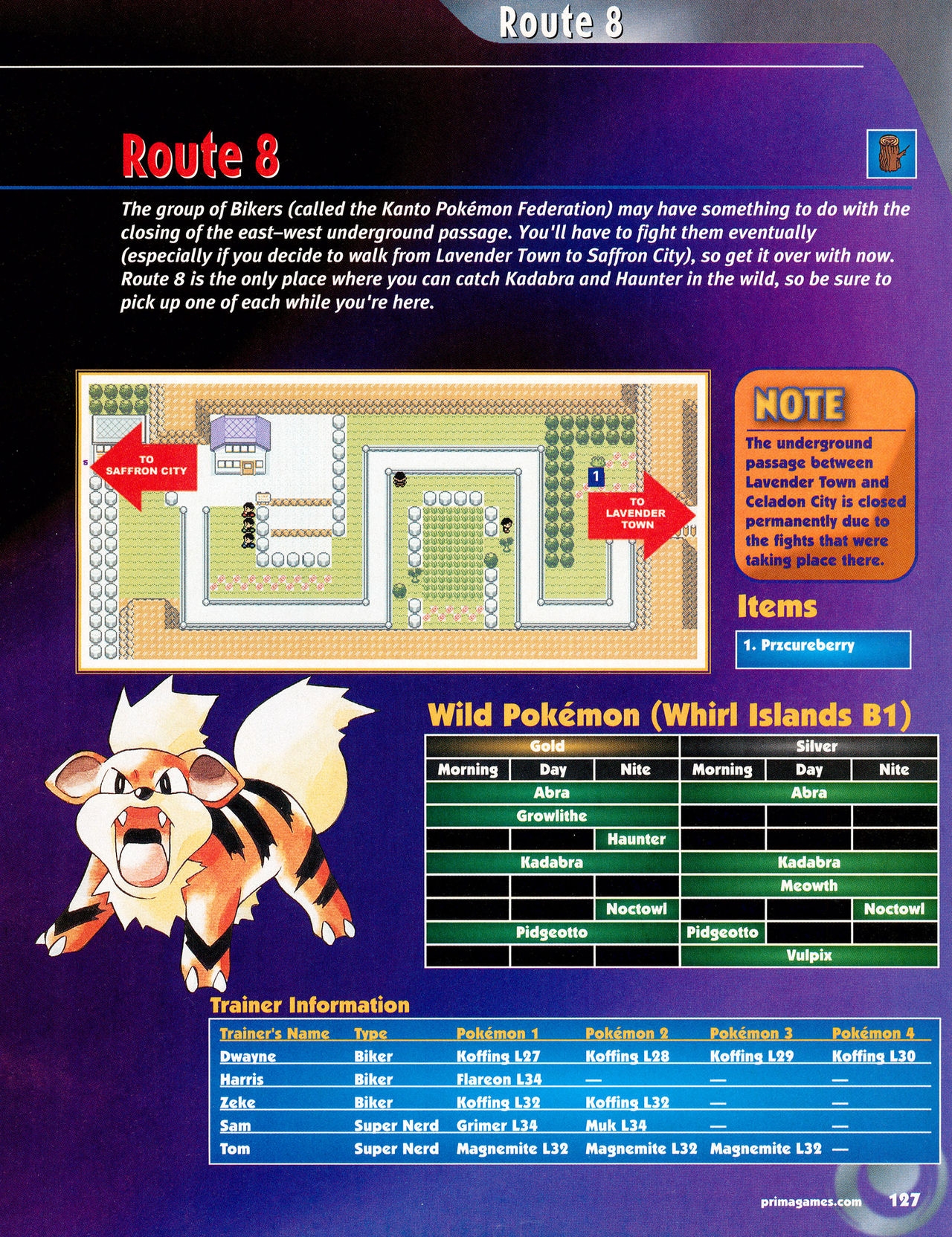 Pokémon Gold & Silver Versions - Strategy Guide 128