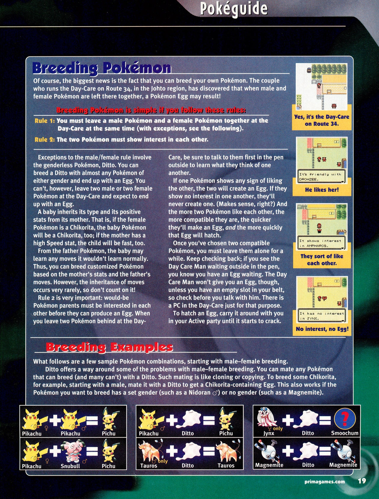 Pokémon Gold & Silver Versions - Strategy Guide 20