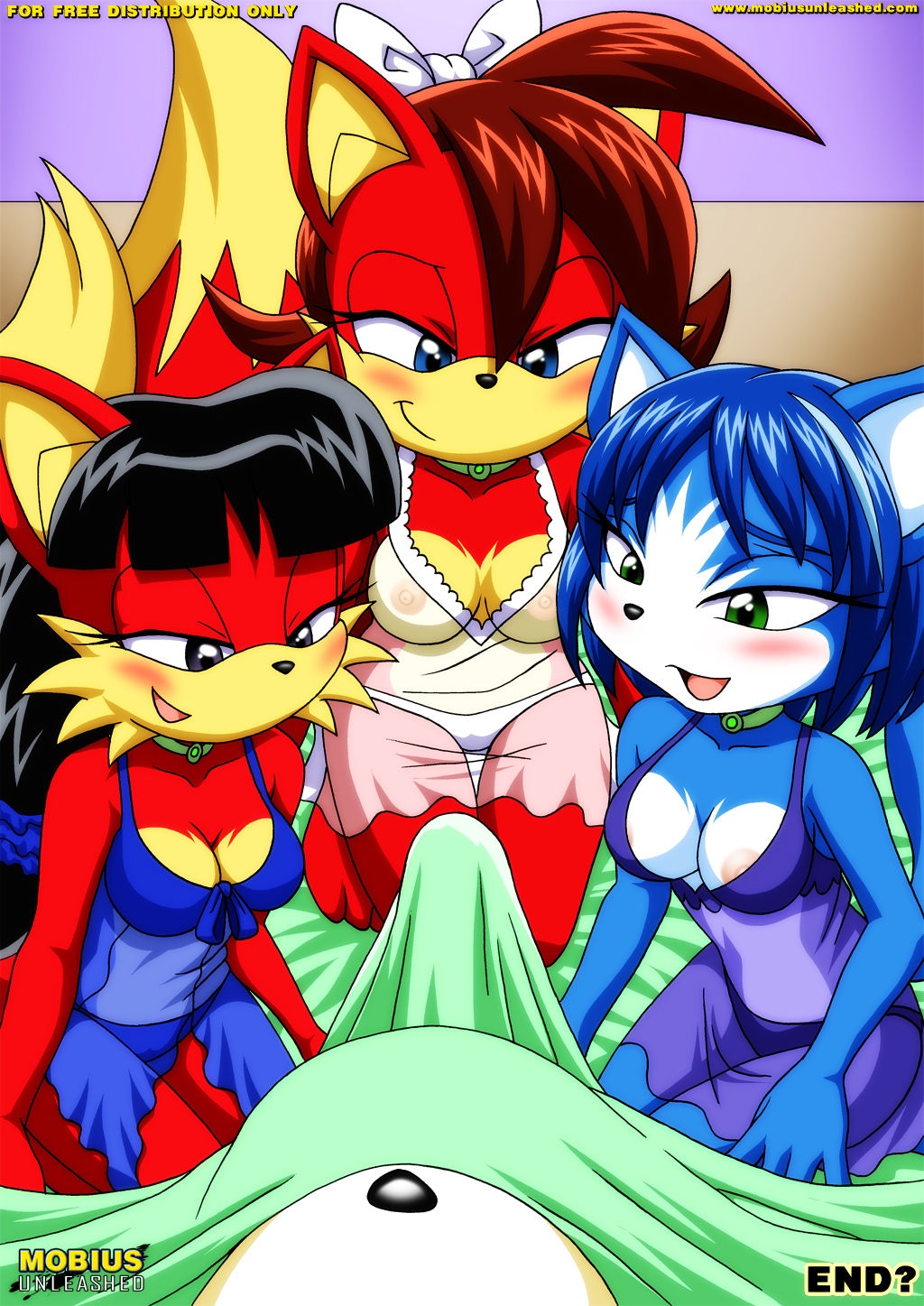 [Palcomix] FoXXXes (Sonic the Hedgehog, Star Fox) 39