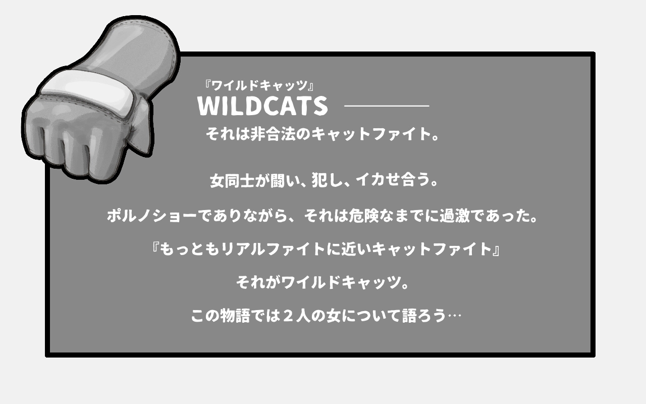 [pink-noise (Mizuiro Megane)] WILDCATS ~ Futanari Chika Battle 3