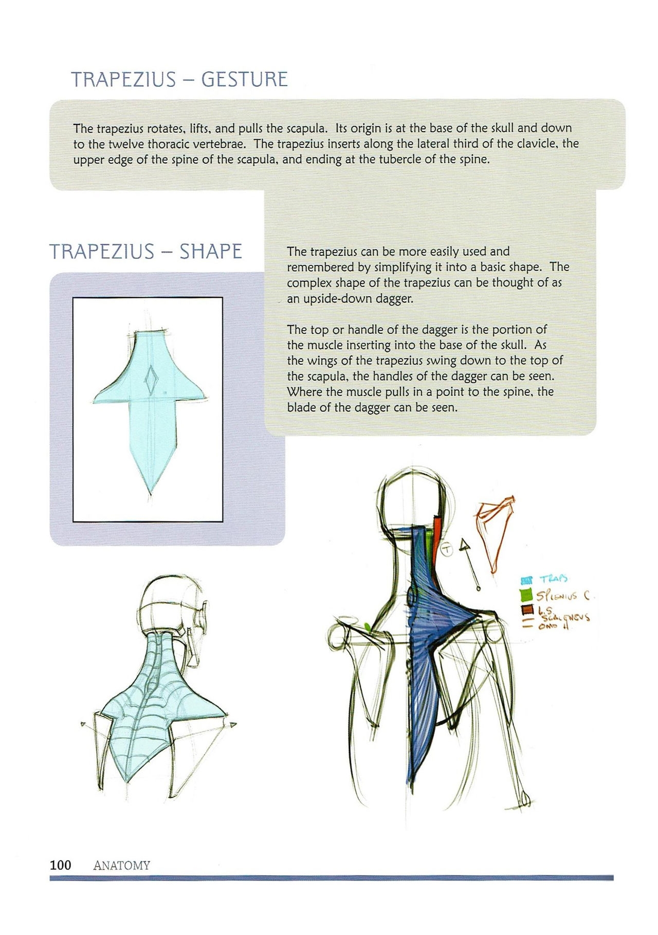 [Micheal Hampton] FIGURE DRAWING, Design and Invention (2013 Edition) 105