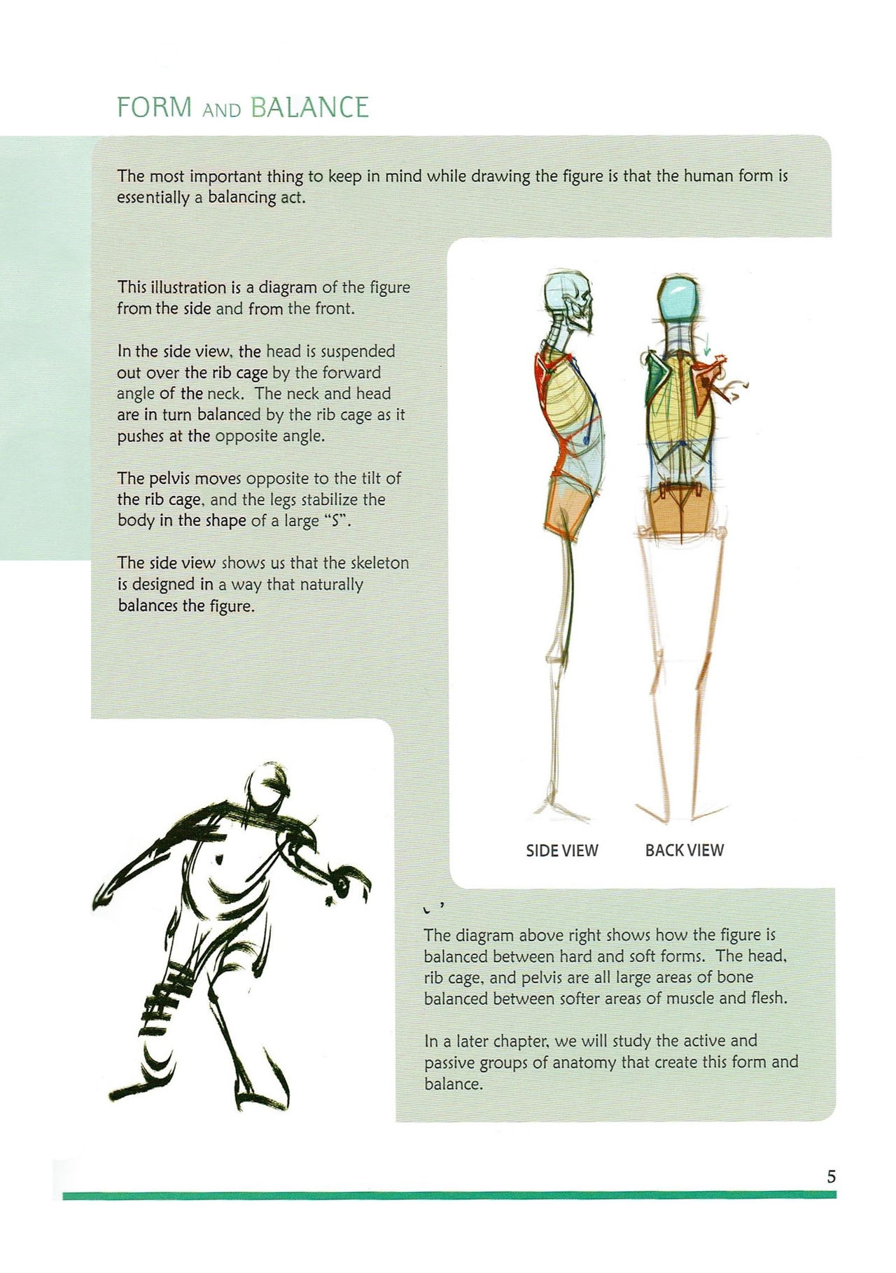 [Micheal Hampton] FIGURE DRAWING, Design and Invention (2013 Edition) 10