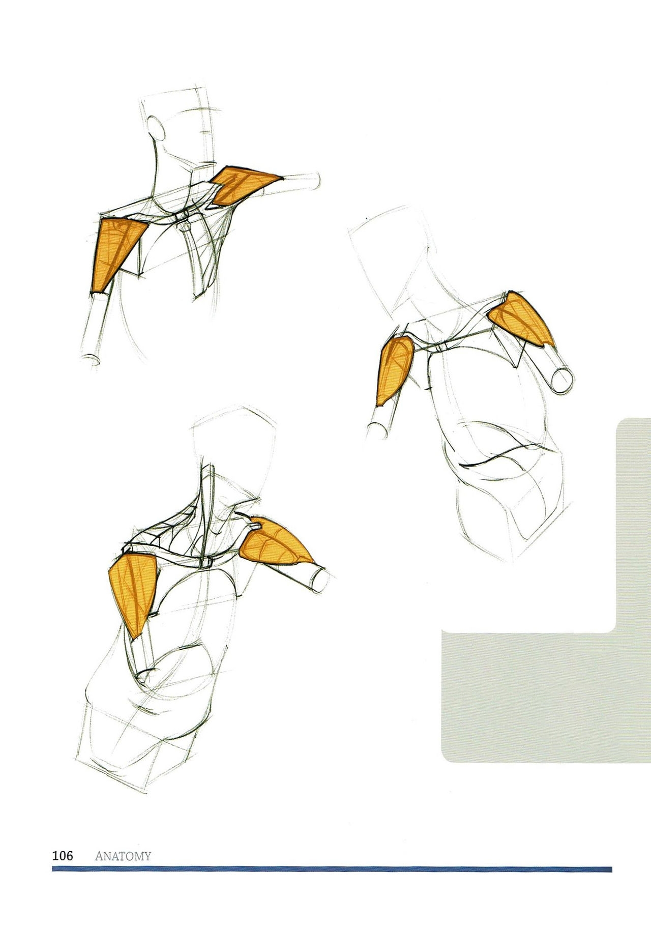 [Micheal Hampton] FIGURE DRAWING, Design and Invention (2013 Edition) 111