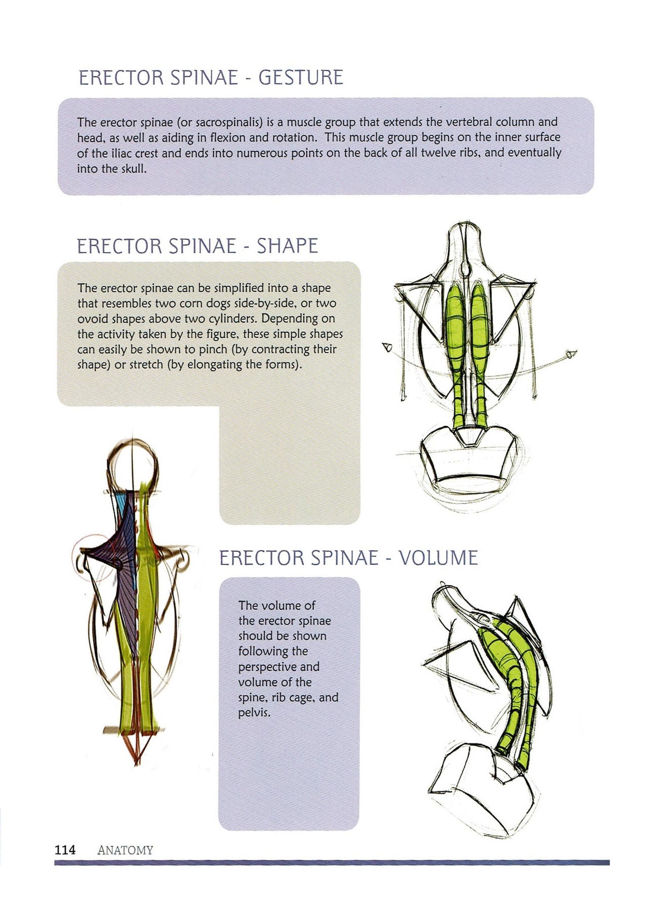 [Micheal Hampton] FIGURE DRAWING, Design and Invention (2013 Edition) 119