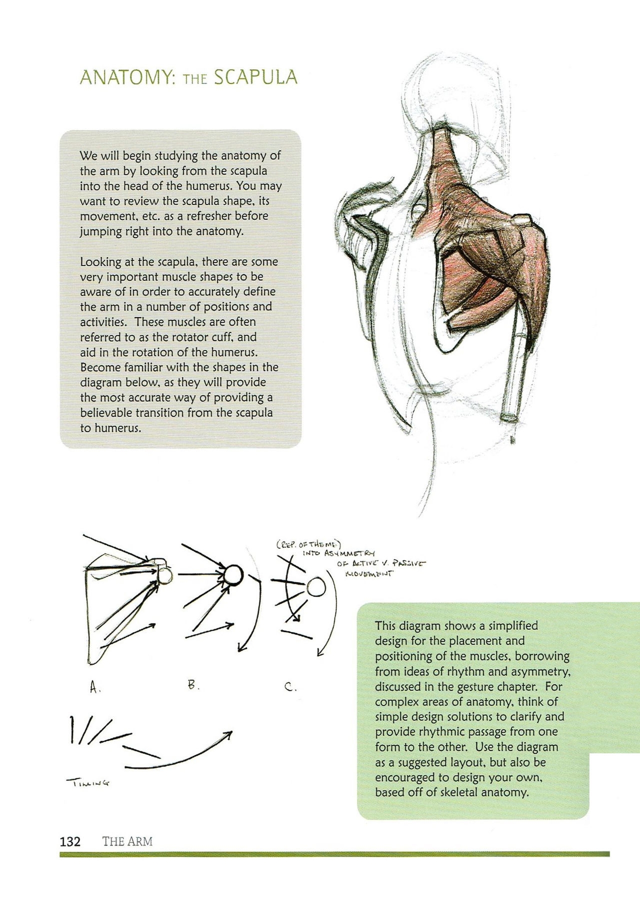 [Micheal Hampton] FIGURE DRAWING, Design and Invention (2013 Edition) 135