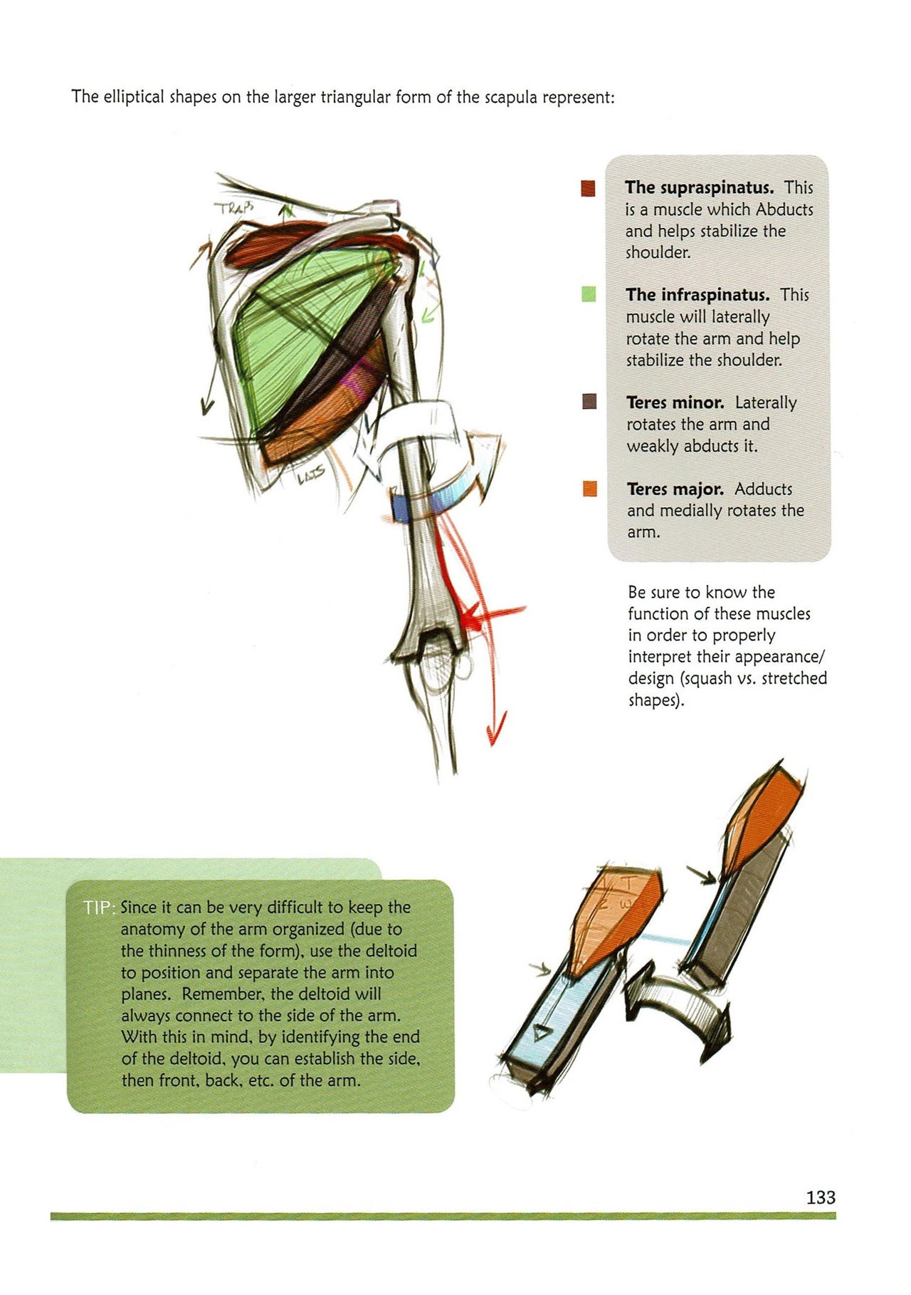 [Micheal Hampton] FIGURE DRAWING, Design and Invention (2013 Edition) 136