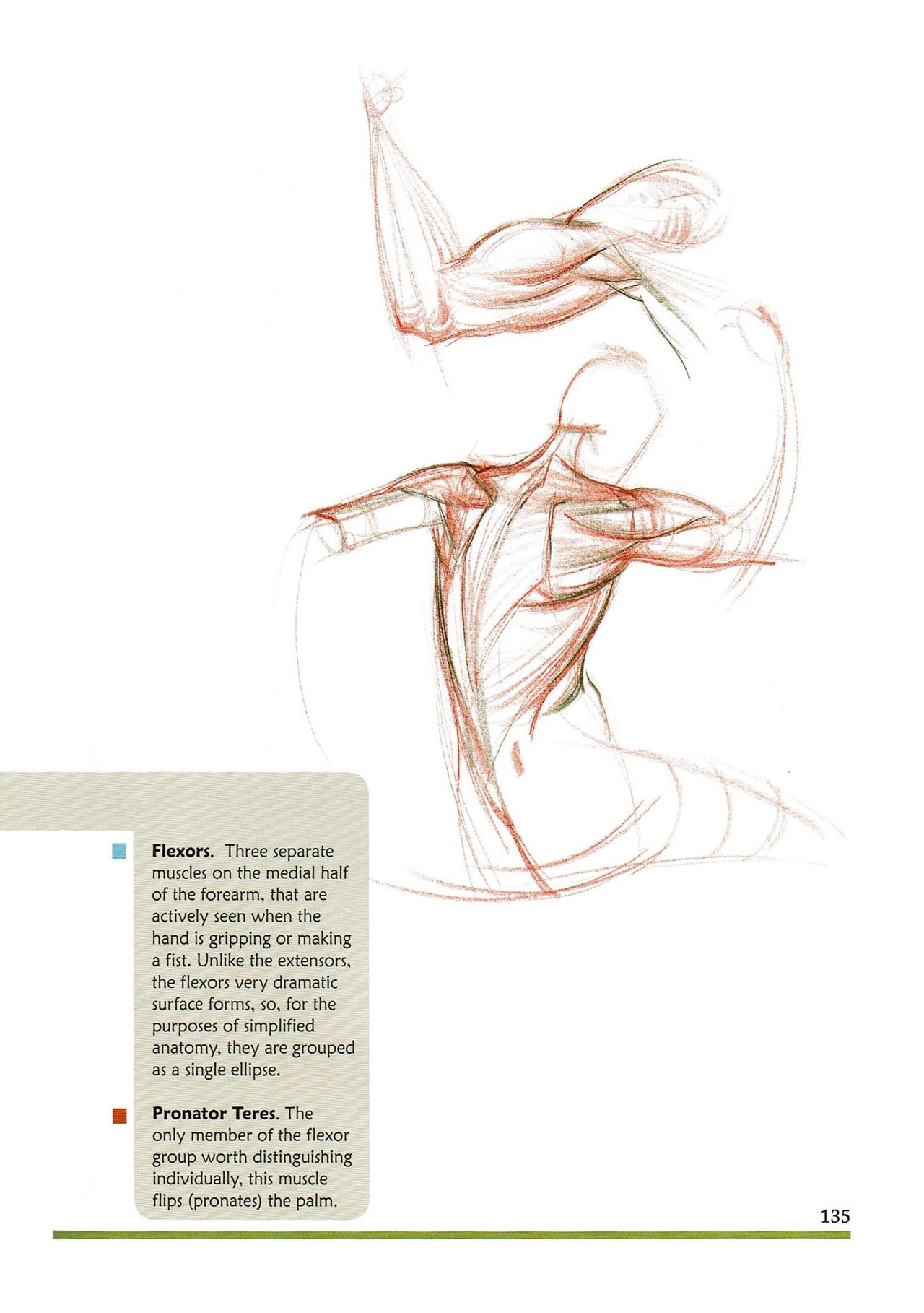 [Micheal Hampton] FIGURE DRAWING, Design and Invention (2013 Edition) 138