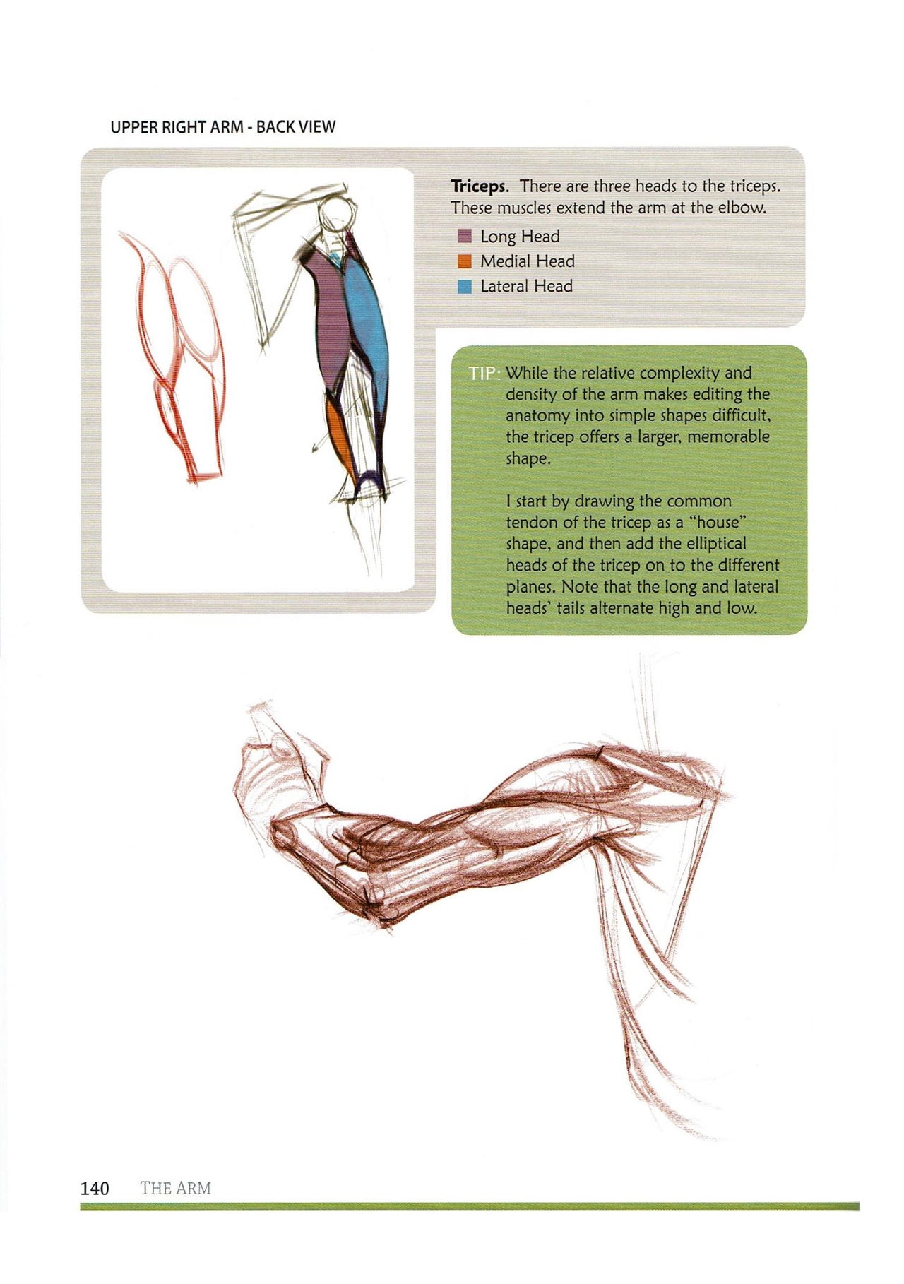 [Micheal Hampton] FIGURE DRAWING, Design and Invention (2013 Edition) 143